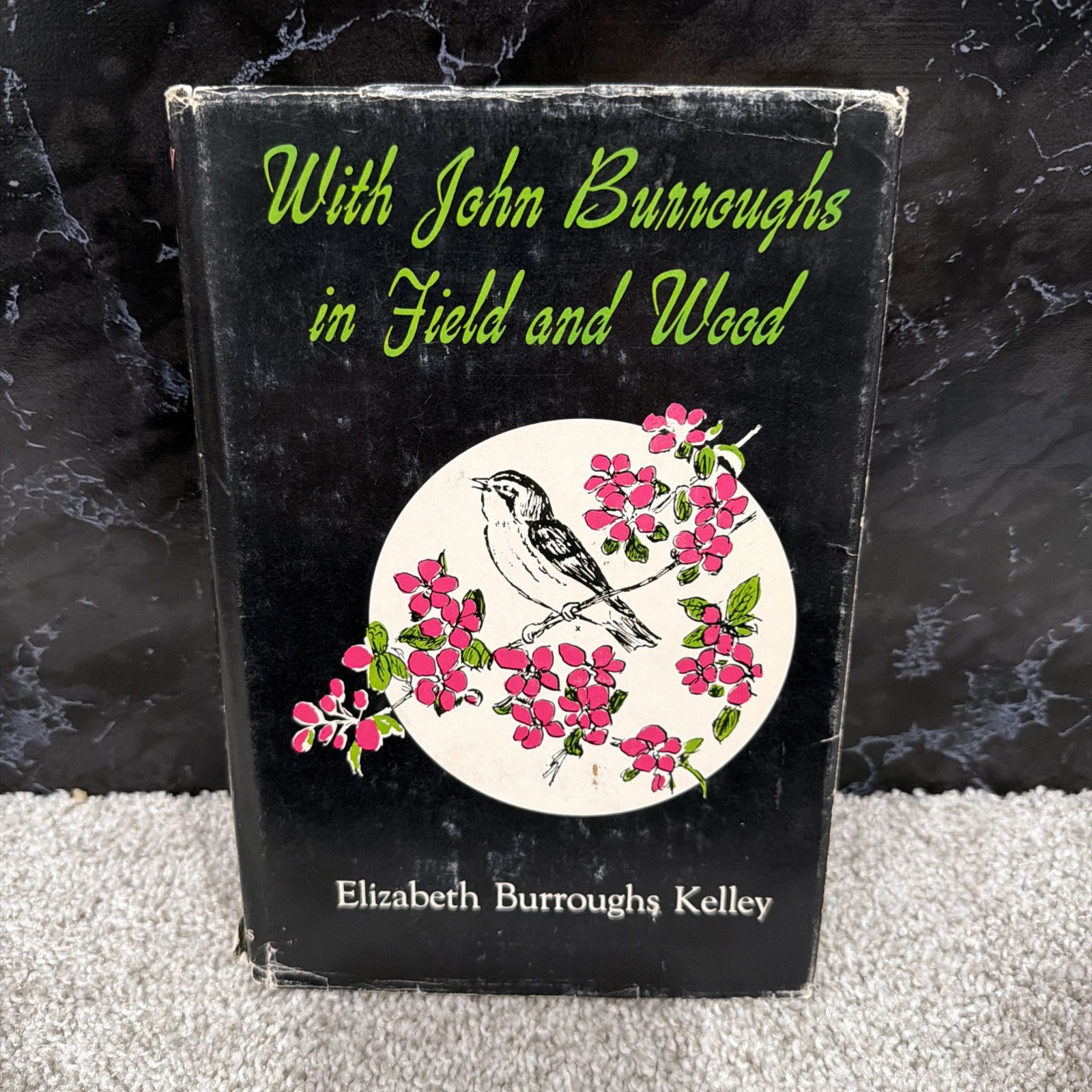 VINTAGE 1969 WITH JOHN BURROUGHS IN FIELD AND WOOD ELIZABETH KELLEY HC BOOK