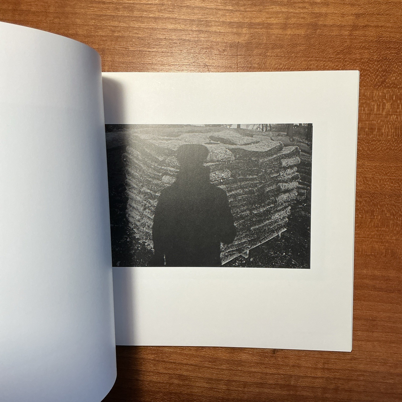 First Edition Self Portrait Lee Friedlander Haywire Press 1970 Paperback