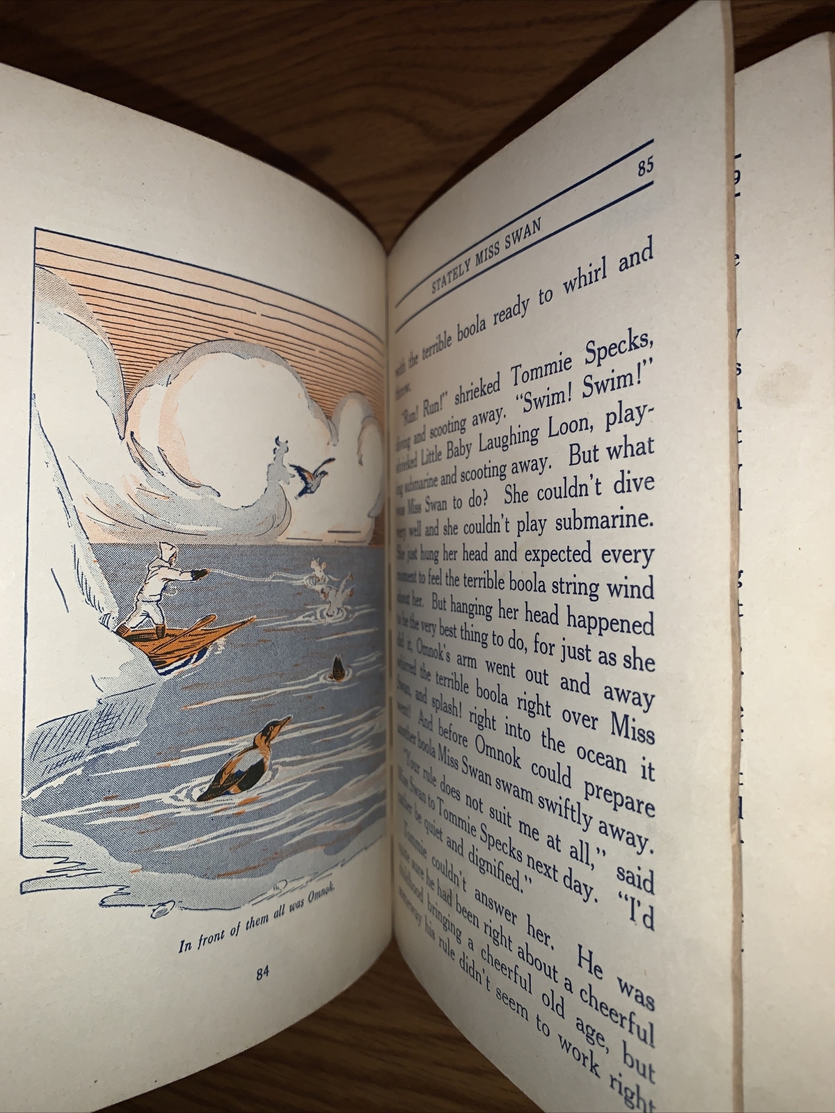 The Northland Bird Life by Roy Snell 1924 Golden Book of Artic Books