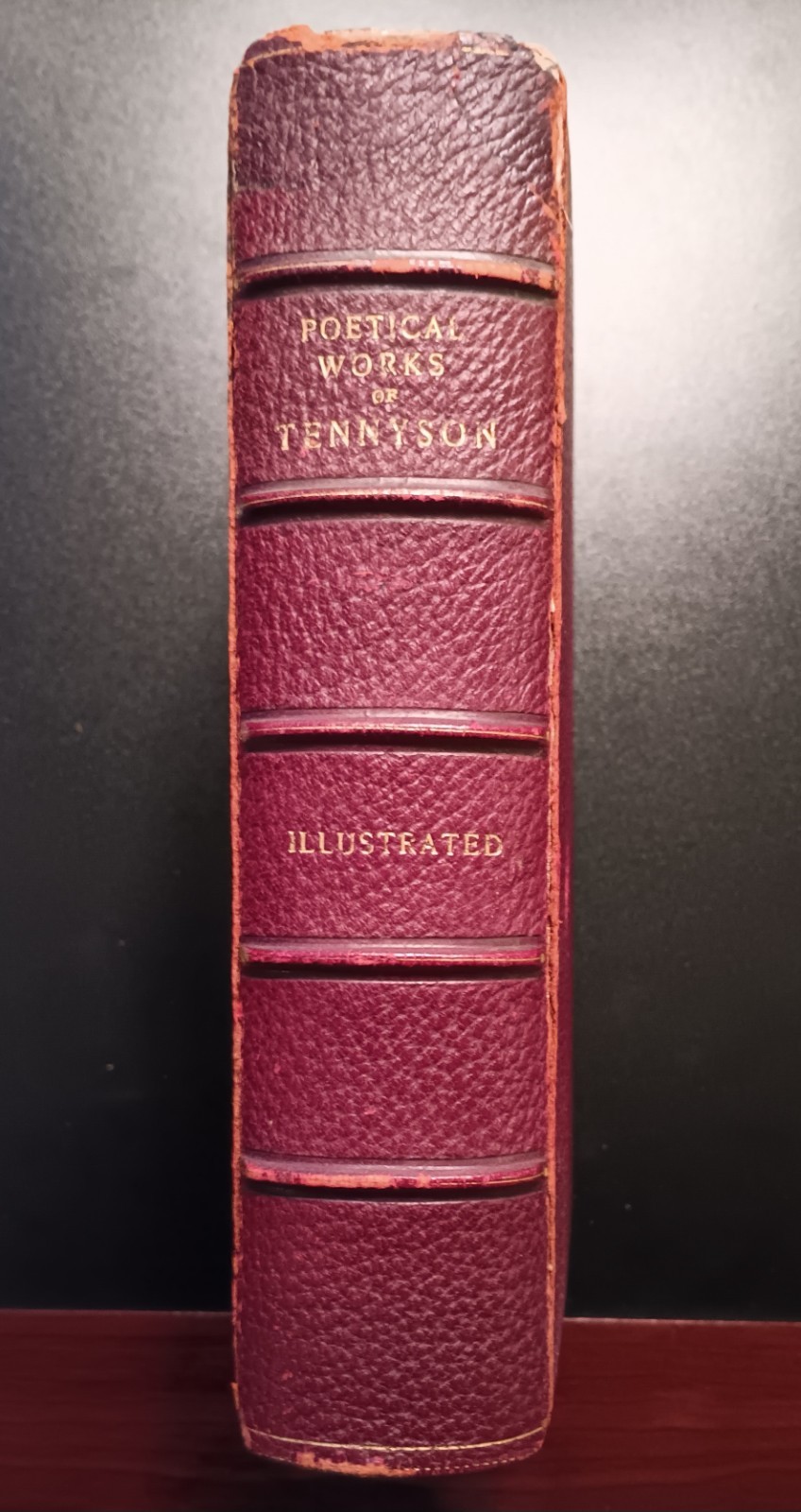 1900 ALFRED TENNYSON POETICAL WORKS Illustrated Hardcover WINSLOW HOMER artist
