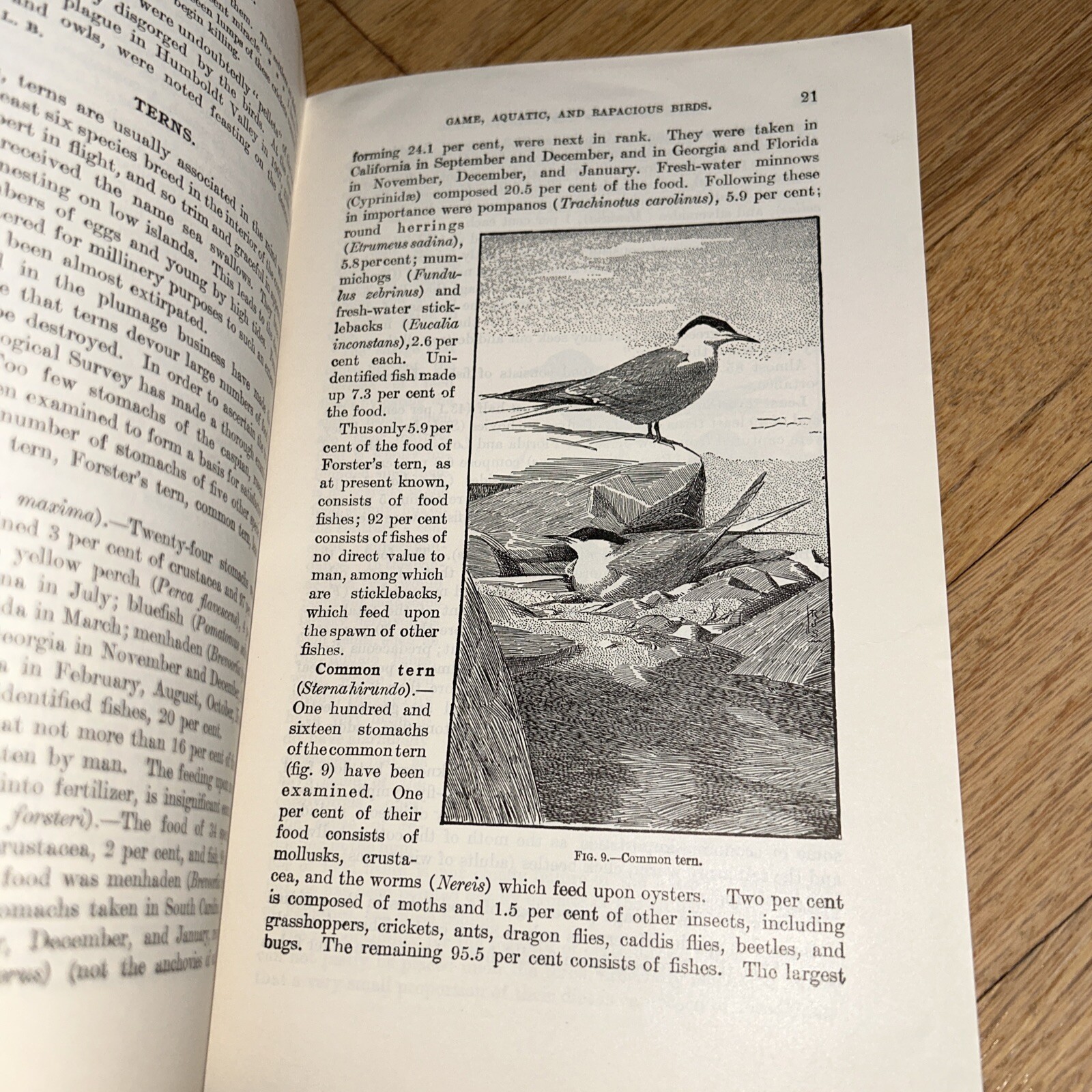 2 USDA Books COMMON USEFUL BIRDS / GAME AQUATIC & RAPACIOUS BIRDS 1926 / 1924