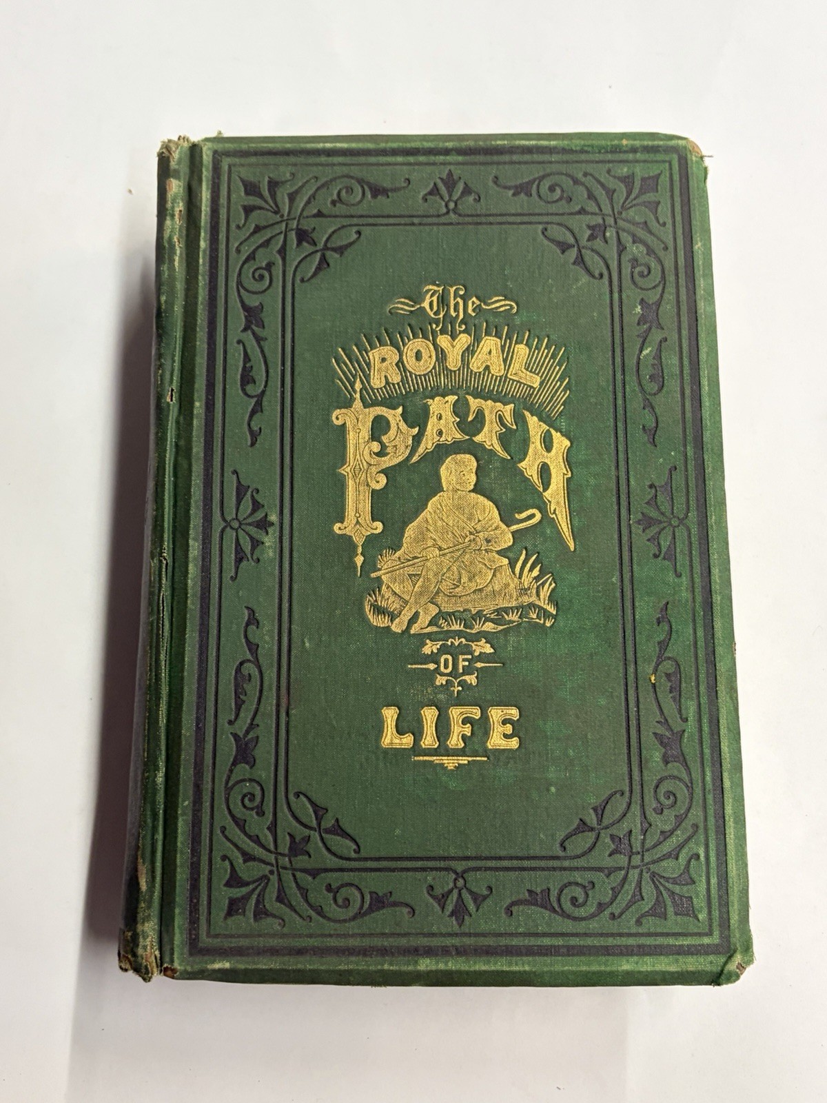 The Royal Path of Life 1881 Haines & Yaggy Success & Happiness Illustrated