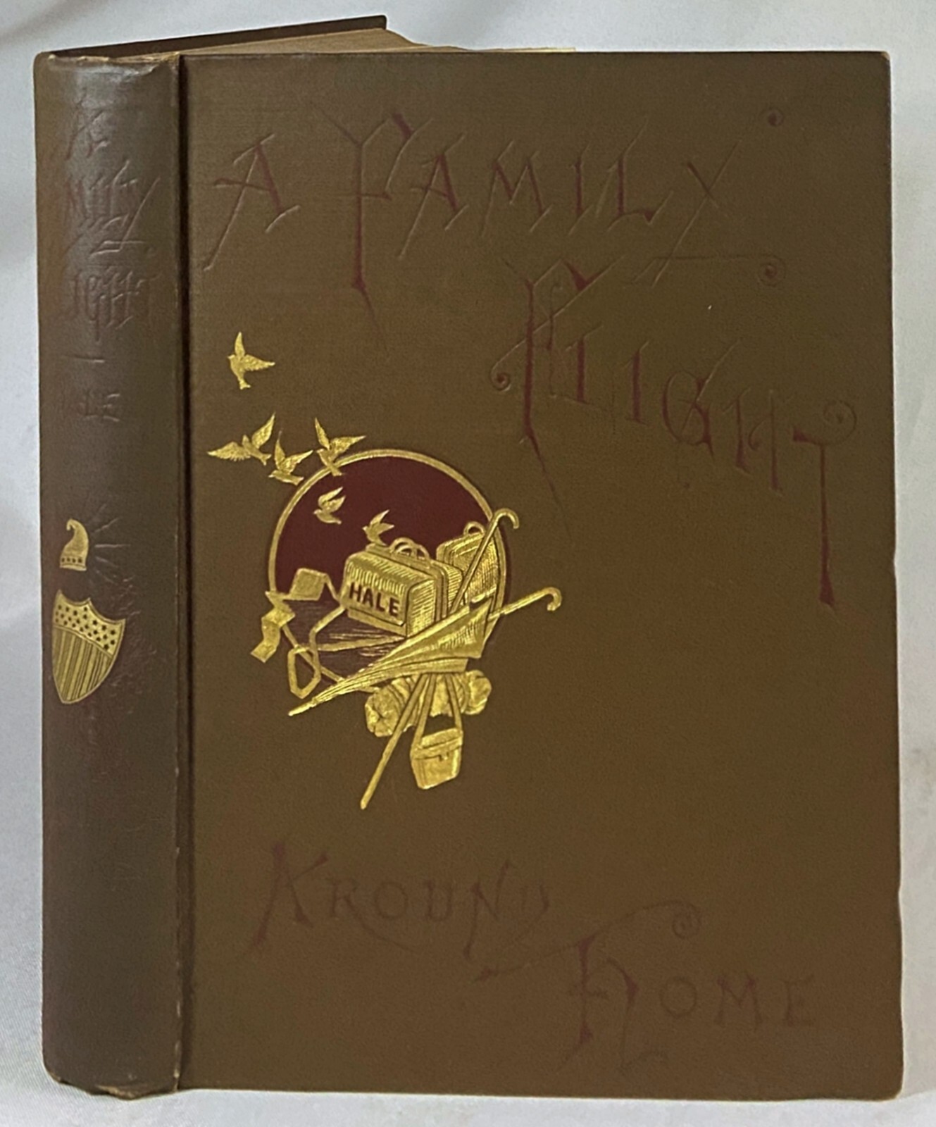 Antique 1884 A FAMILY FLIGHT AROUND HOME Victorian Children’s Book HALE