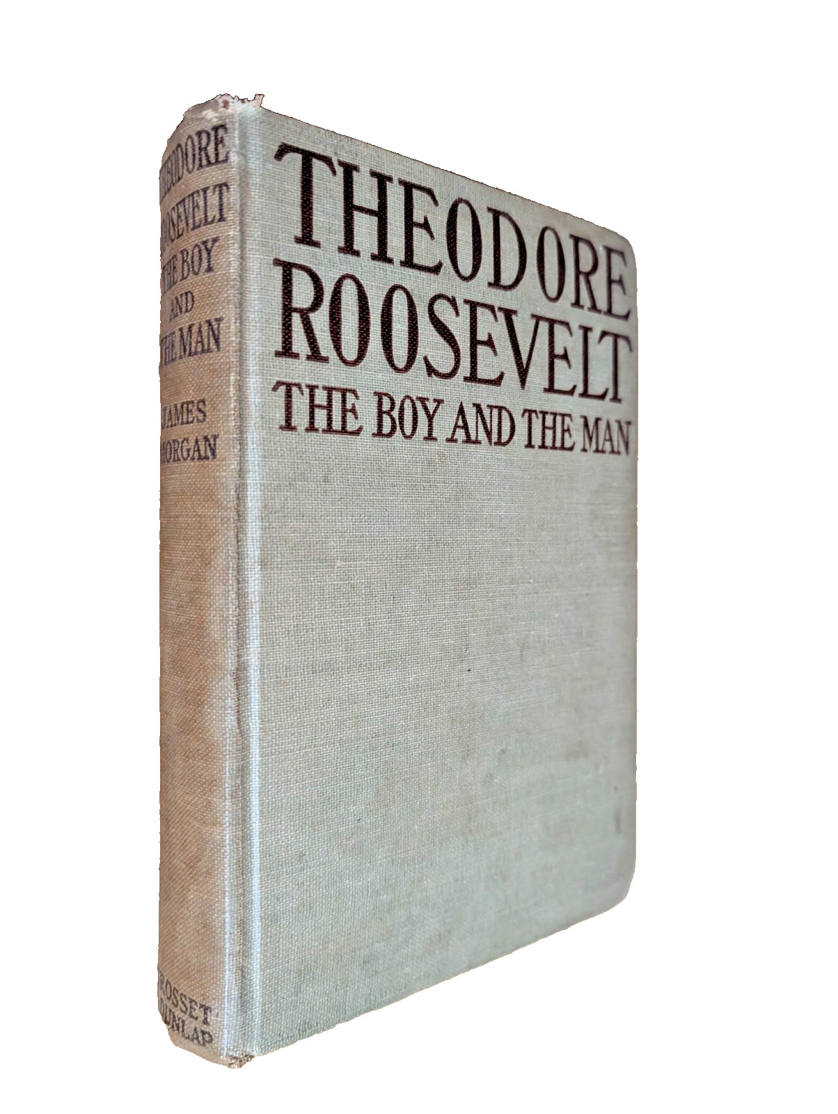 Theodore Teddy Roosevelt Antique Illustrated Biography 1919 HC Book Boy and Man