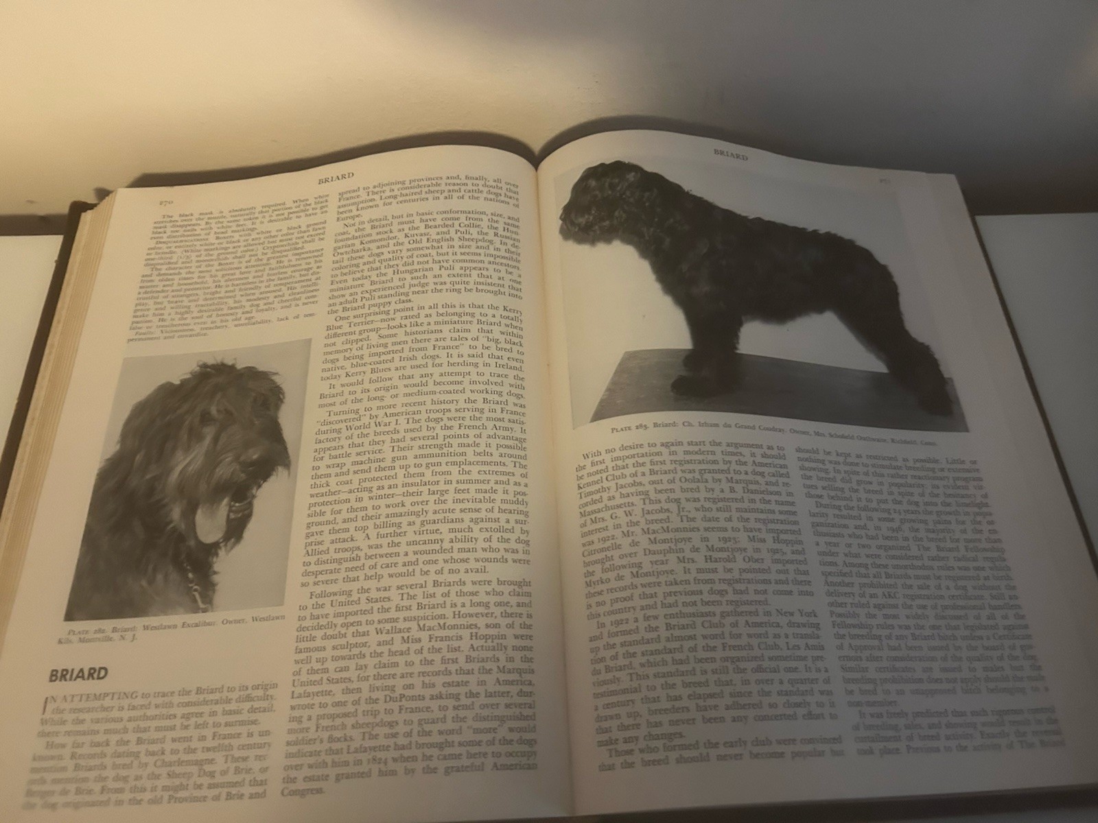 Modern Dog Encyclopedia – Henry P. Davis 1949 Rare Full LEATHER Hardcover Book