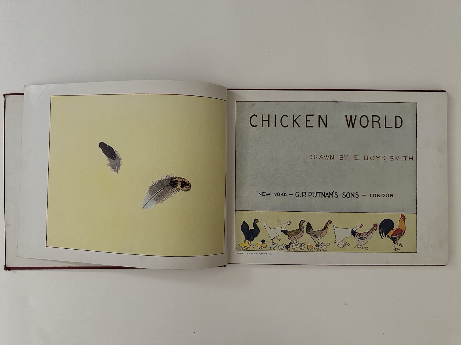 Chicken World: Drawn By E Boyd Smith Vintage 1910 Children’s Book GP Puntmans