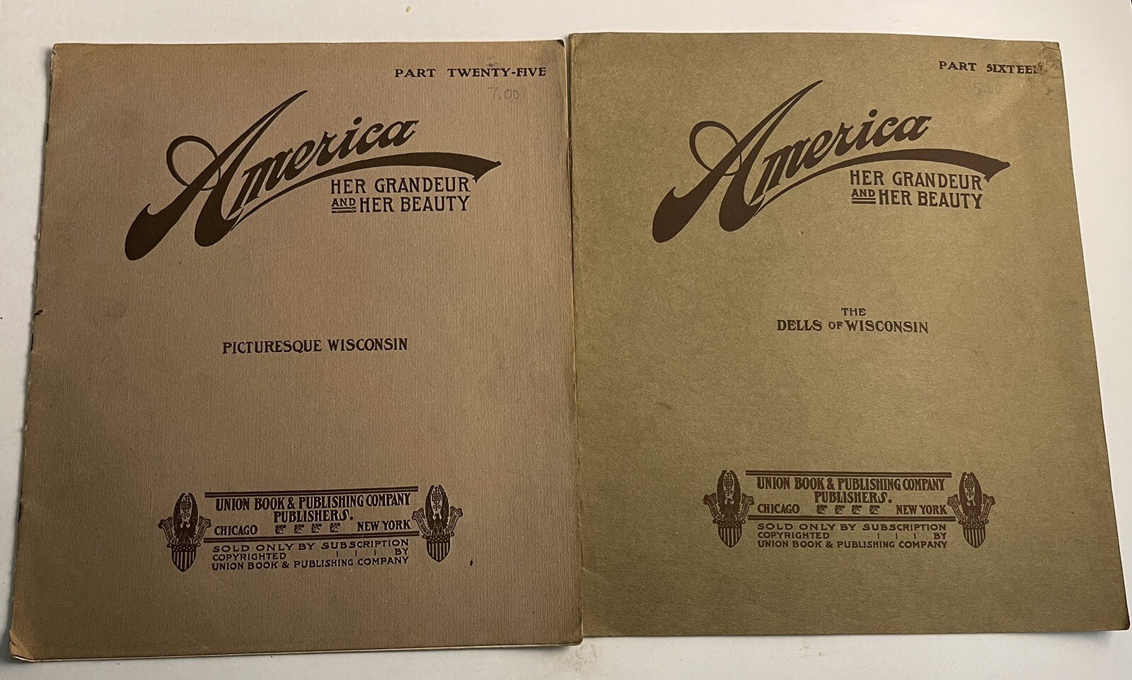 Lot of 2 America Her Grandeur And Her Beauty Photo Books From 1900 Wisconsin