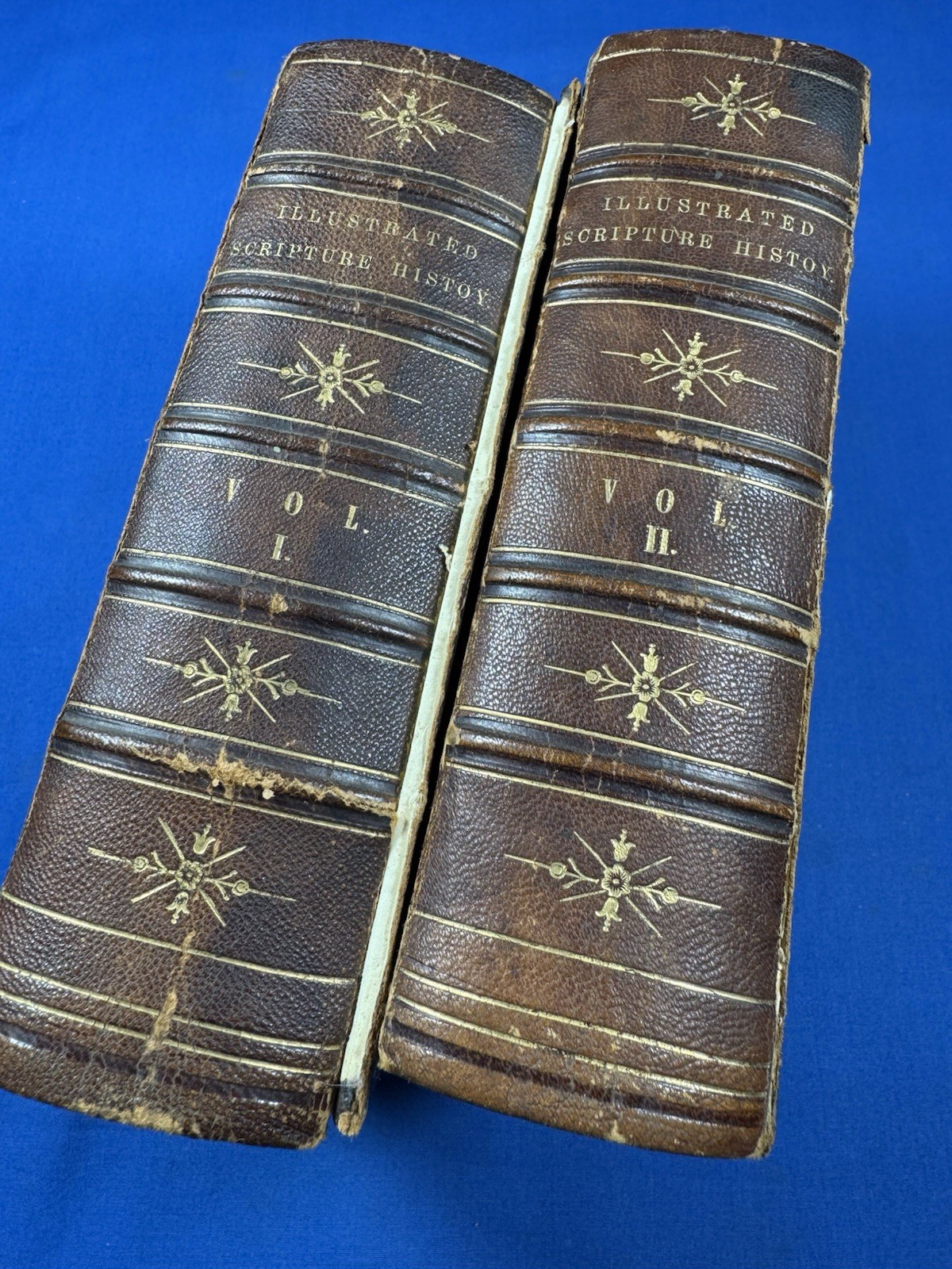 1851 Illustrated Scripture History Vol.I & Vol.II – 270 Biblical Engravings