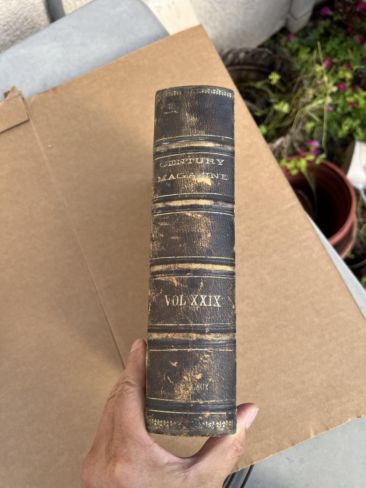 1885 The CENTURY Illustrated Monthly Magazine Nov. 1884 to April 1885 Vol. XXIX