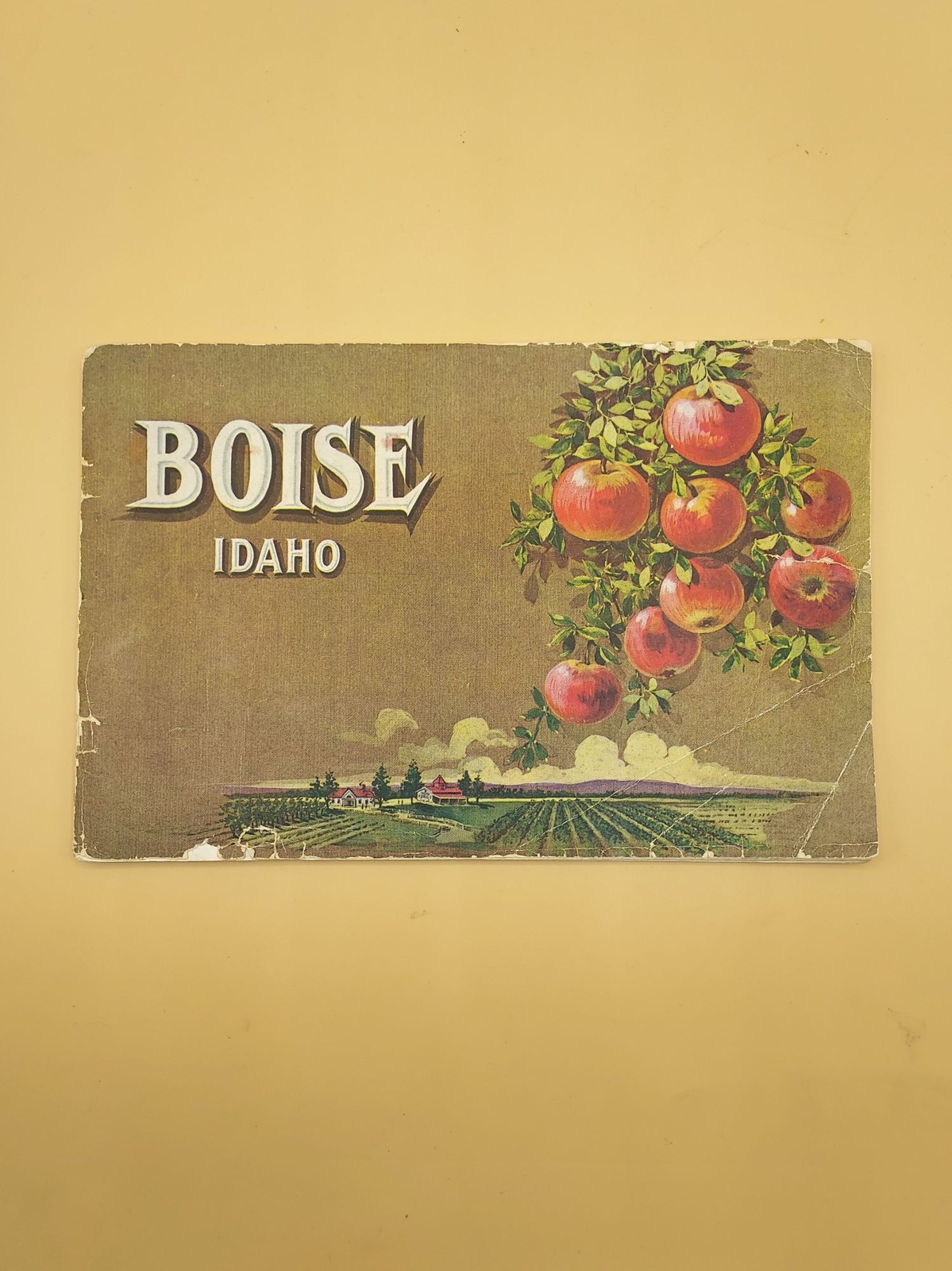 Boise Idaho / 1908