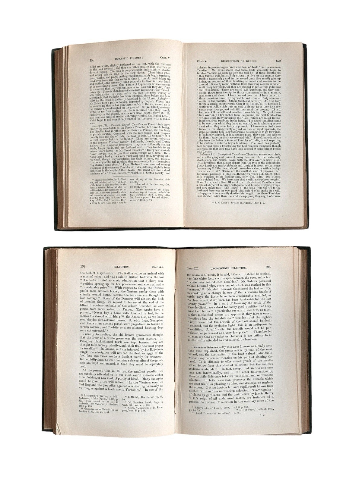 Animals and Plants Under Domestication by Charles Darwin 1882 John Murray