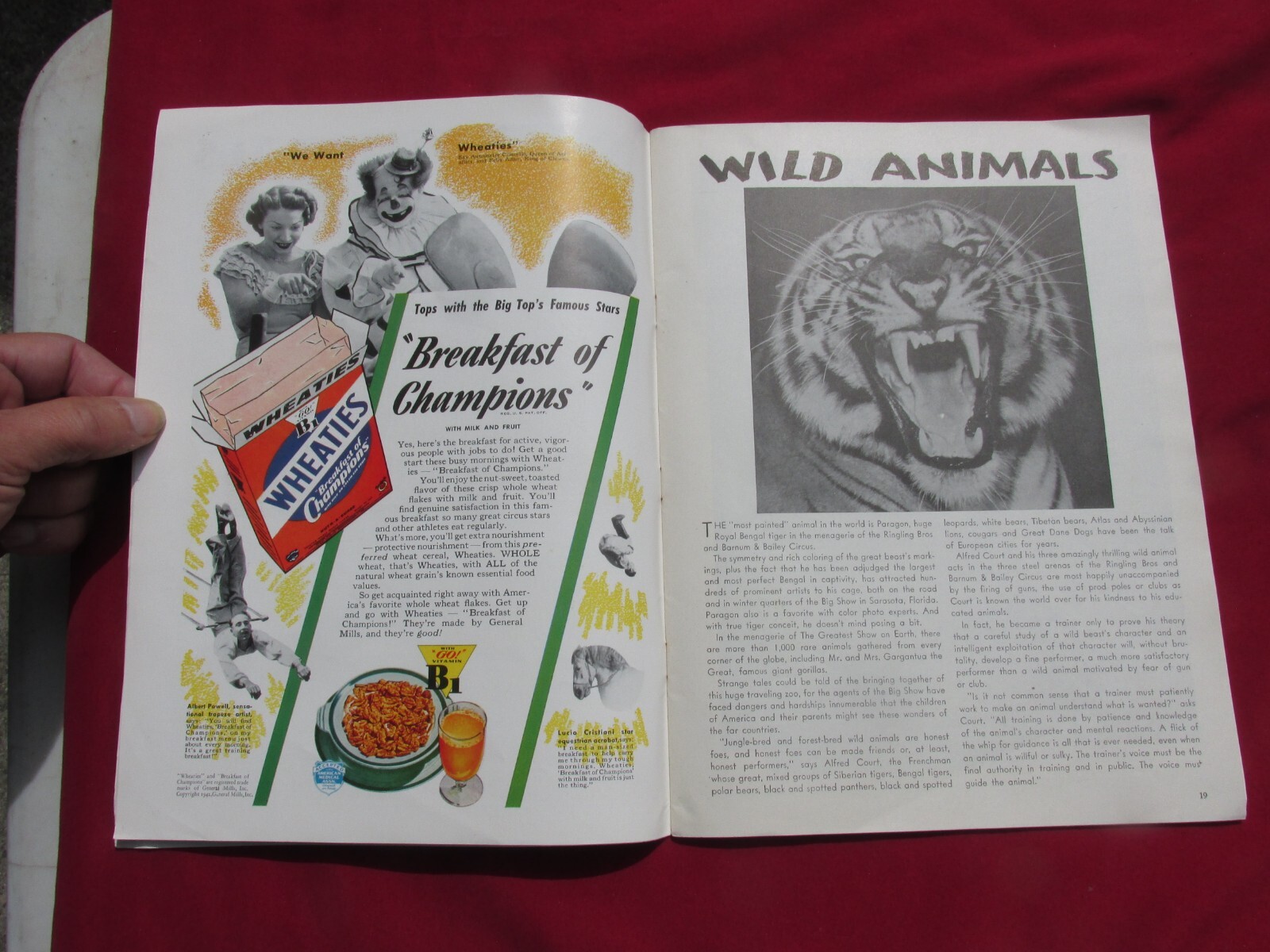 Ringling Bros. Barnum & Bailey Circus Magazine 1942 Peter Arno Art Original