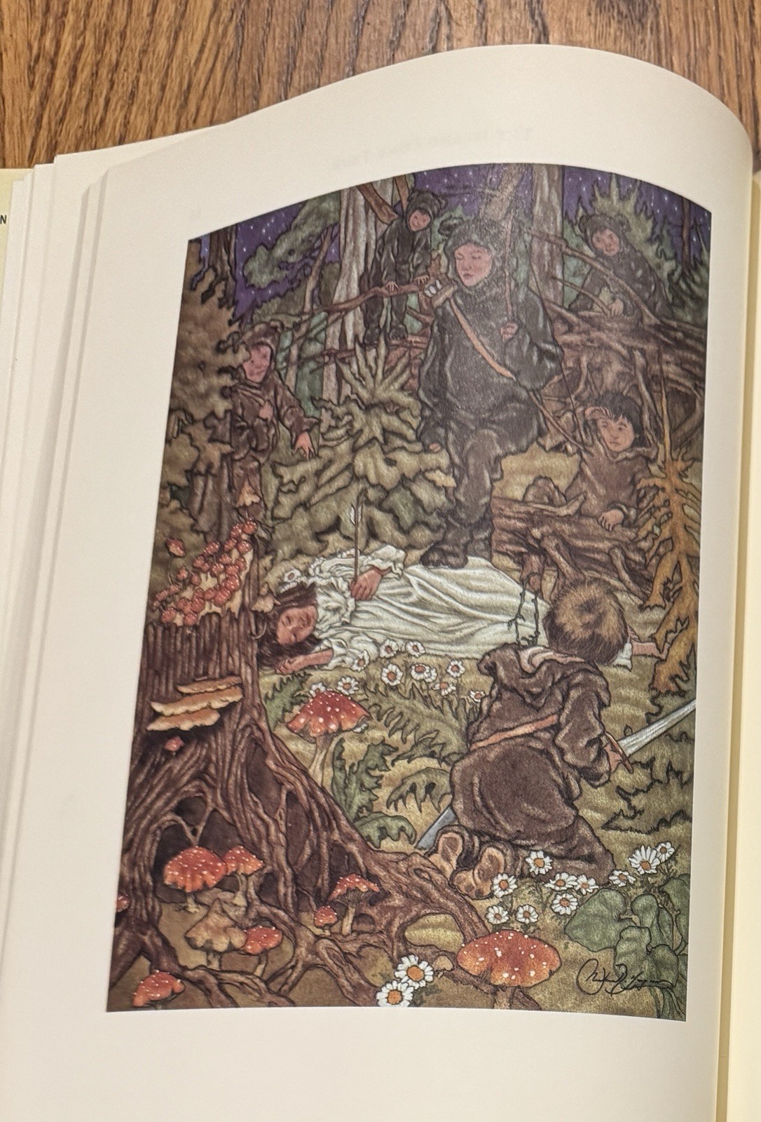First Edition First Print 1987 Peter Pan J.M. Barrie & Michael Hague HC/ DJ
