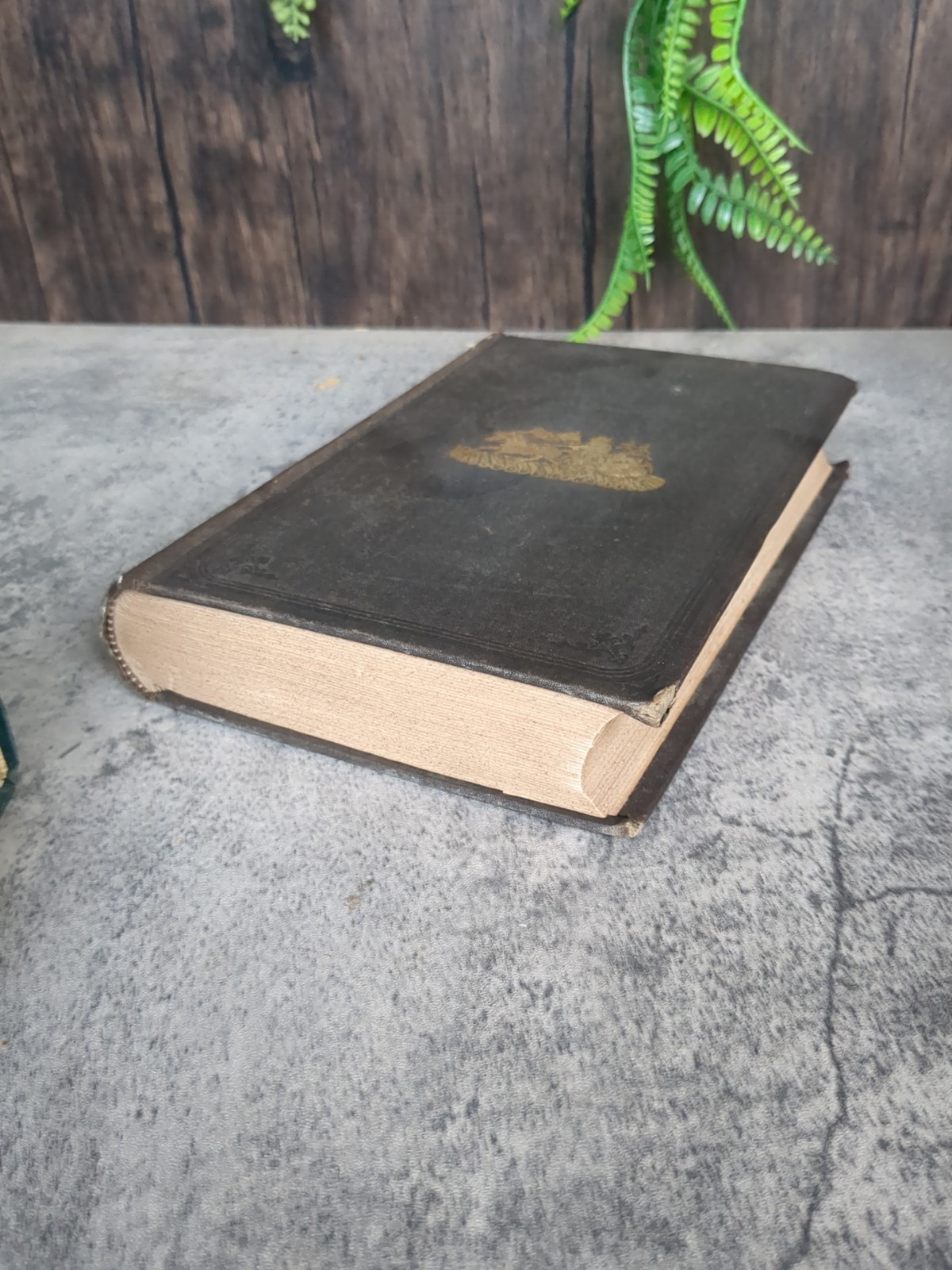 Roughing It 1873 Mark Twain Illustrated Early Edition Western Americana Travel