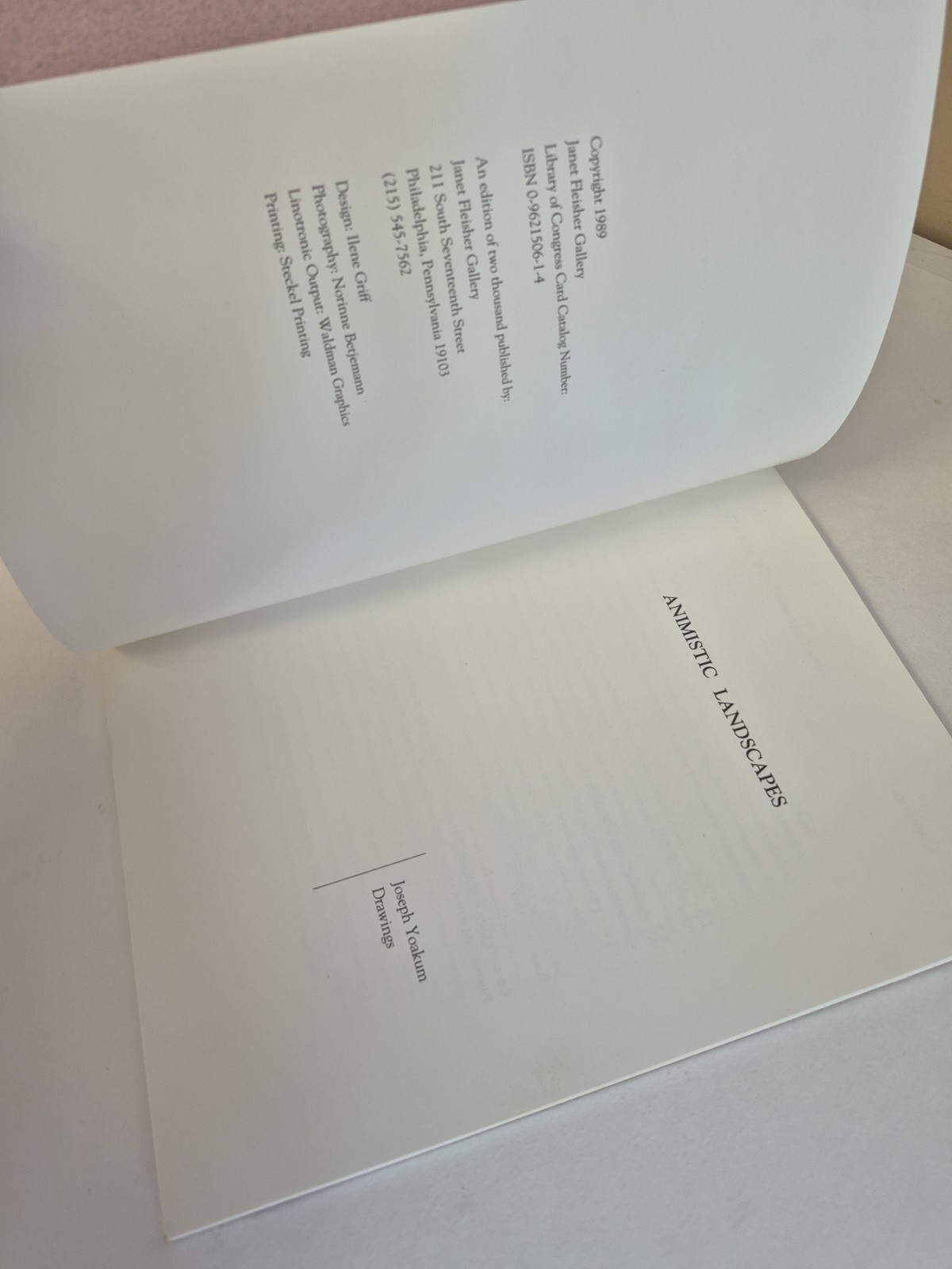 Animistic Landscapes Joseph Yoakum Drawings 1989