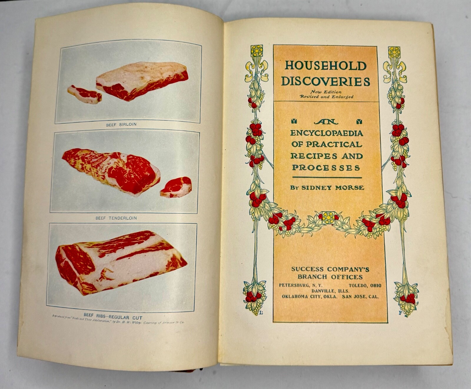 Household Discoveries And Mrs. Curtis’s Cook Book By Sidney Morse 1914