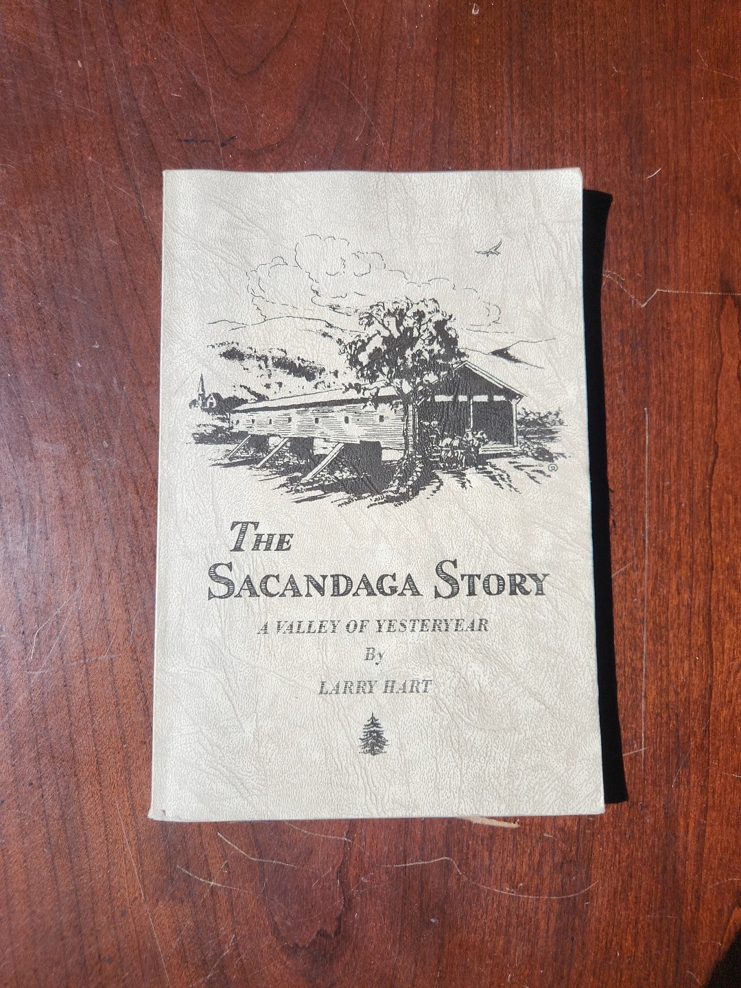THE SACANDAGA STORY Larry Hart signed 1995 PB Northville Edinburg Fish House Vly