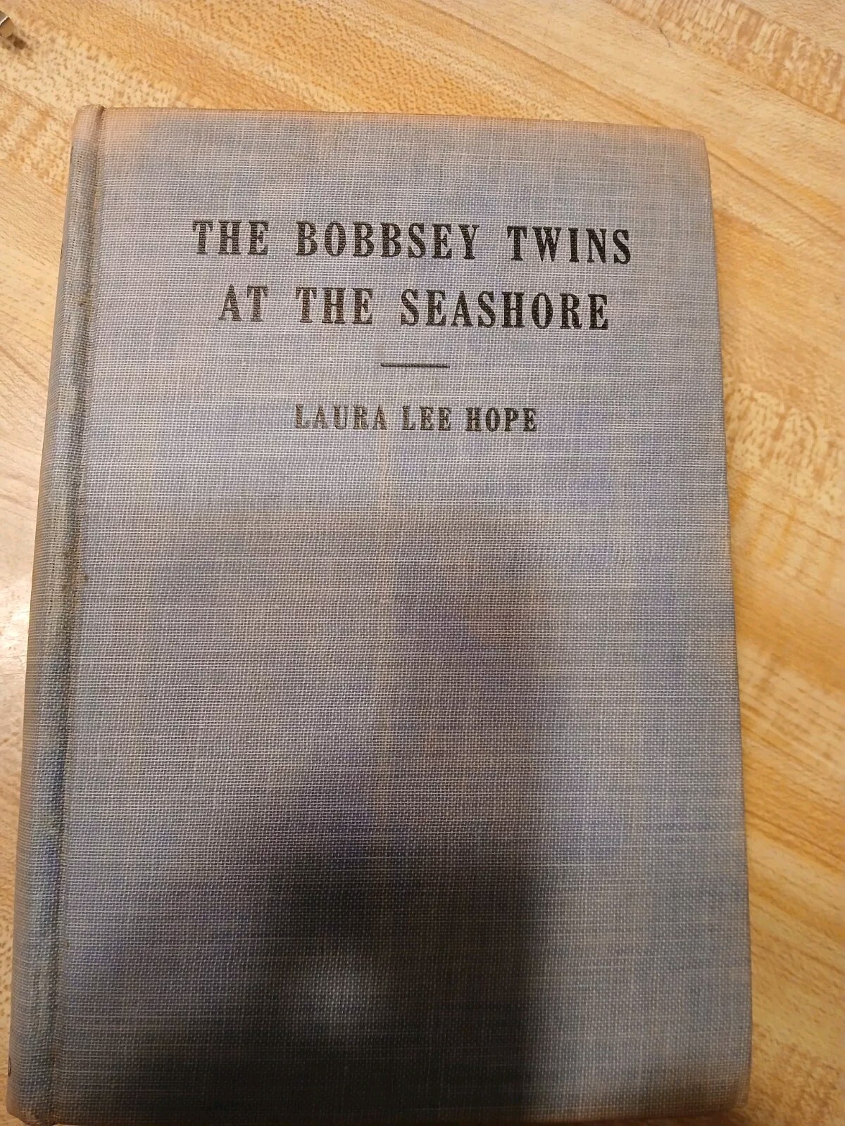 Vintage 1940 „The Bobbsey Twins at the Seashore“ by Laura Lee Hope