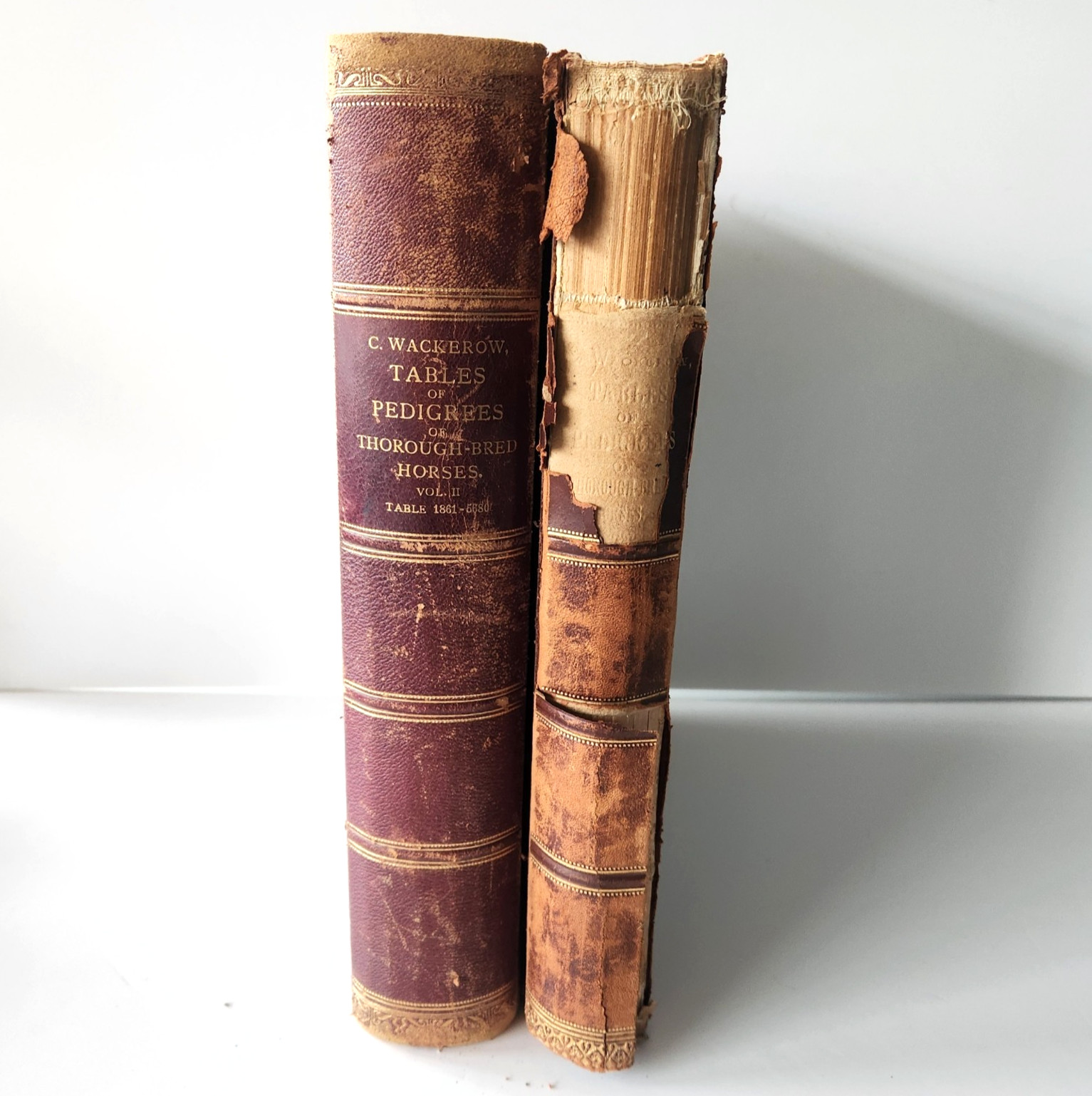 Tables of Pedigrees of Thorough-Bred Horses 1900 & 1904 Vol II Wackerow Antique