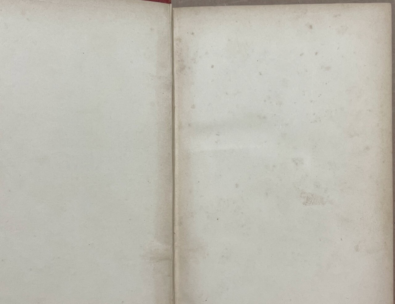 Neues Illustrirtes Schweizer Kochbuch [New Illustrated Swiss Cookbook] 1876