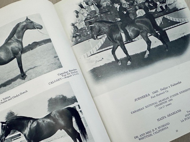 Arabian Horse Yearbook 1966 IAHA Vol XIV Arabian Horse Books / Memorabilia