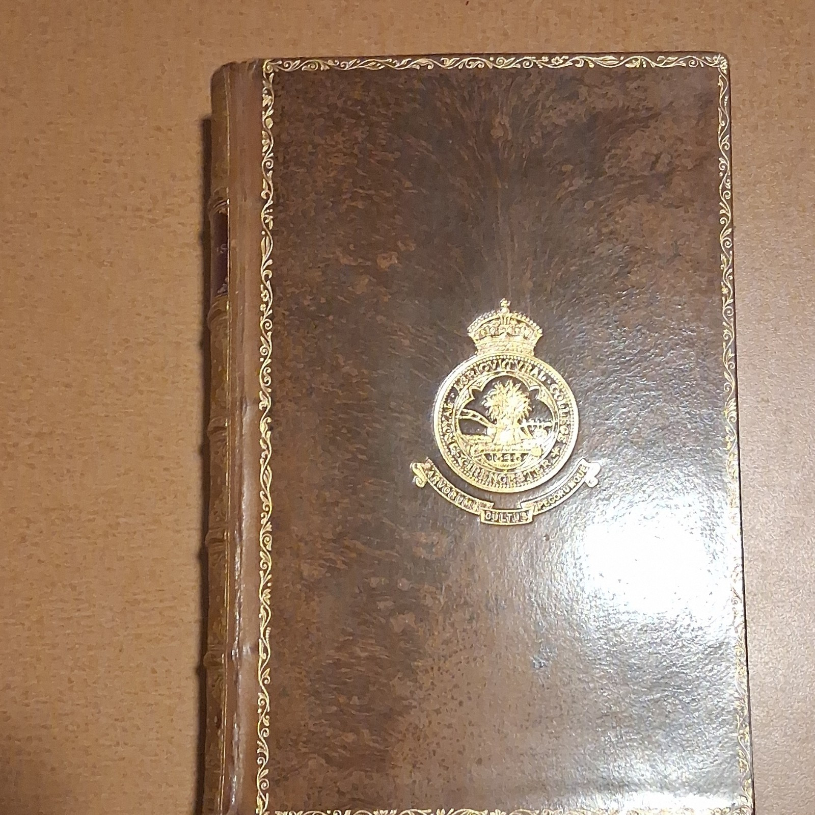 J. E. Taylor Our Common British Fossils Chatto & Windus London 1885 Leather