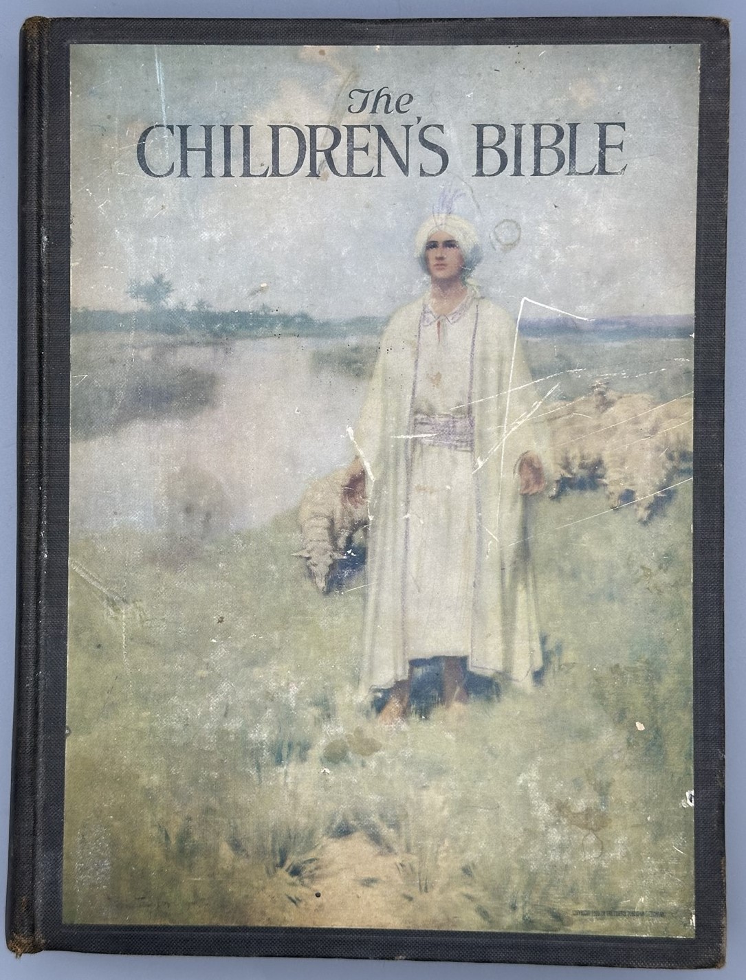 1922 THE CHILDREN’S BIBLE ~ Color & Duotone Illustrations Old and New Testaments