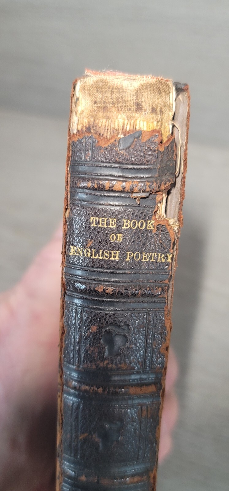 English Poetry 1855 Book of Critical Biographical Scetches Of Poets Nelson & Son