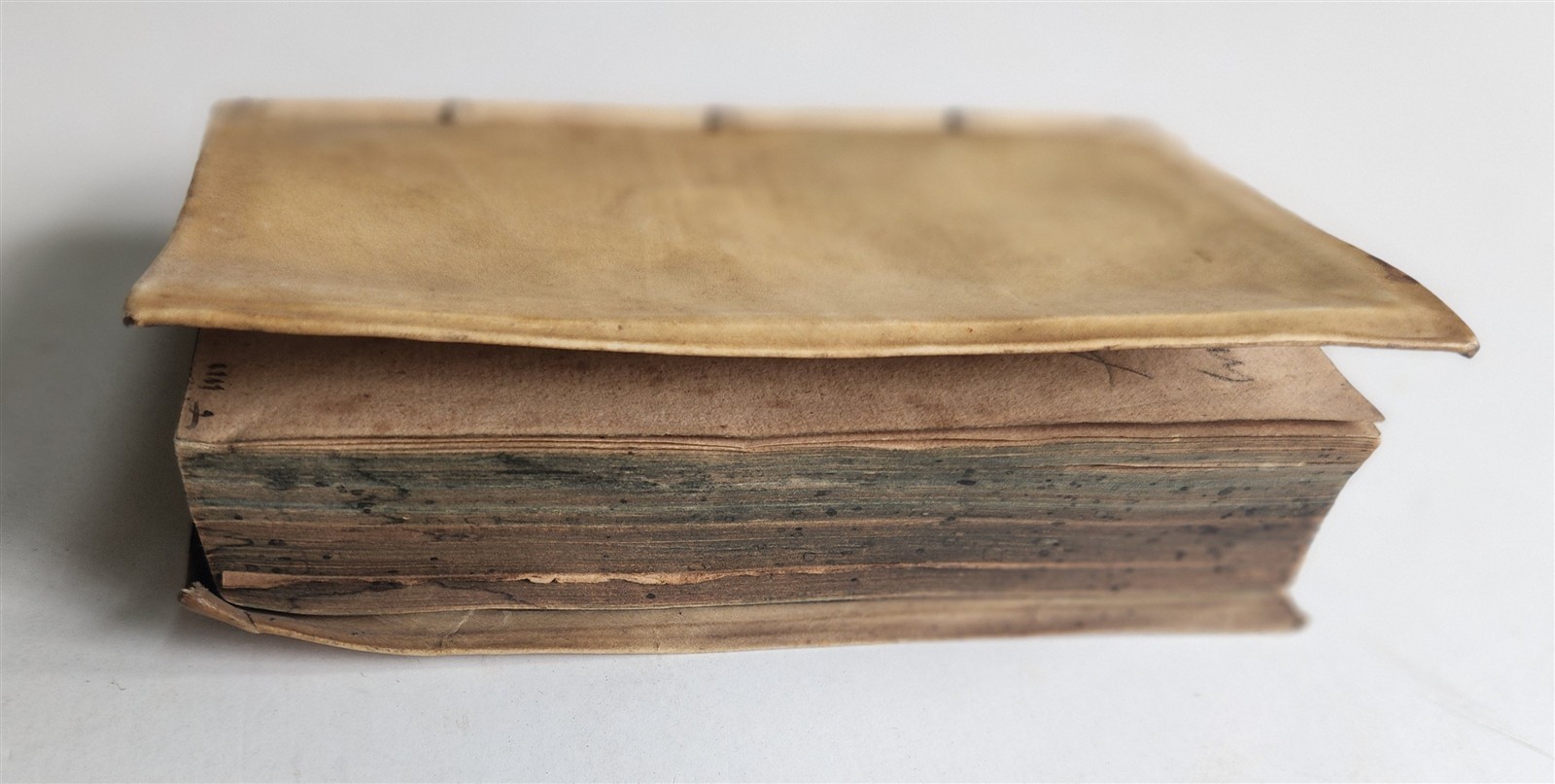 1586 ROMAN LAW TREATISE by FLEMISH JURIST Jacobus RAEVARDUS antique 16th century