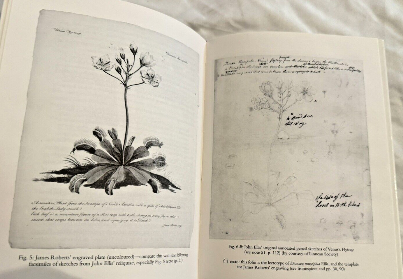 RARE Venus’s Flytrap E Charles Nelson SIGNED 1990 1st ED Botany Book HC DJ