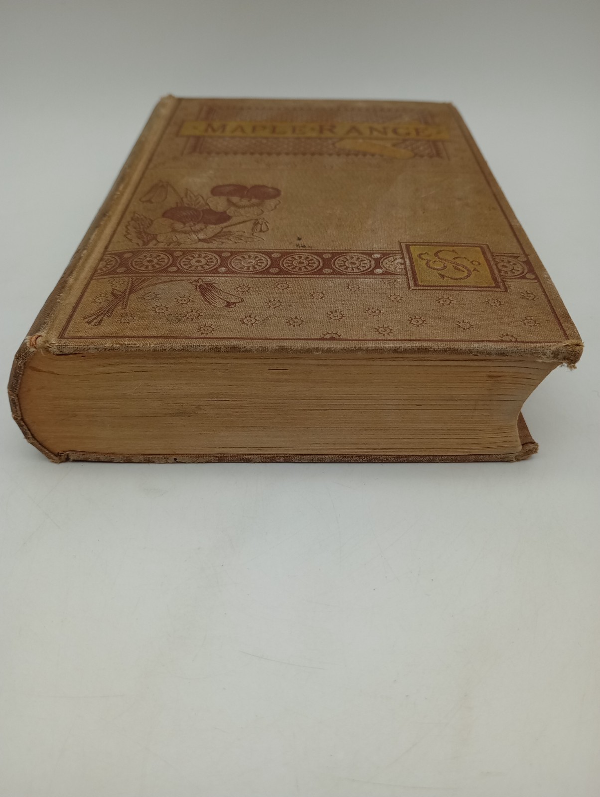Maple Range A Frontier Romance, Edna A Barnard, Antique 1882 1st Edition, Henry