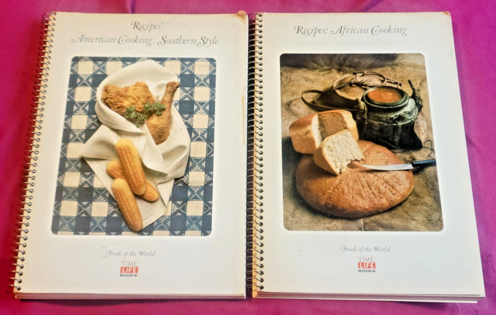 Time Life Foods of the World Lot: Southern Style American & African Cooking VTG