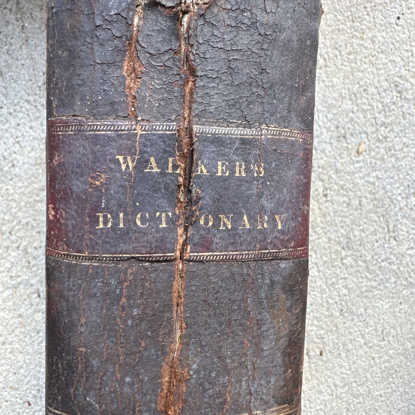 John Walker / critical pronouncing dictionary and expositor of the English 1818