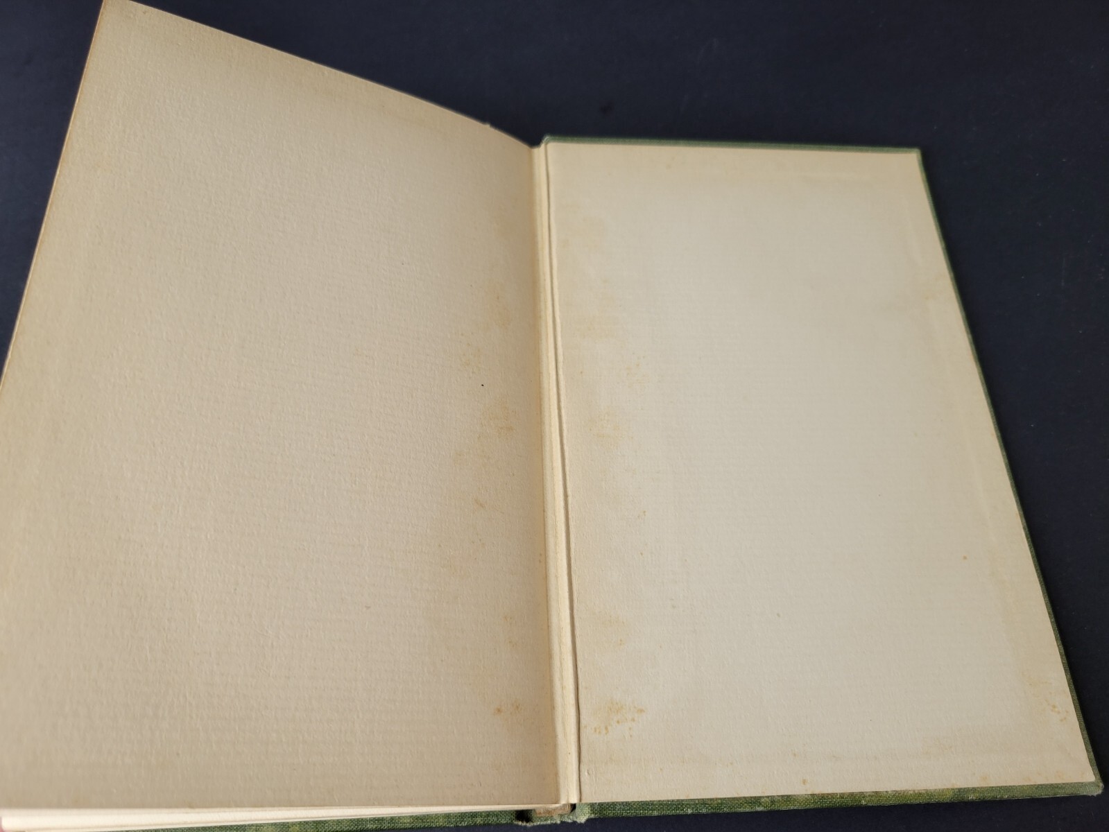 Sarah Orne Jewett ~ THE COUNTRY OF THE POINTED FIRS ~ 1896 First Edition