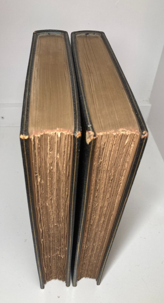 Goethe Faust 1906 Riverside Press Large Paper Morocco Leather Binding 2 Vols