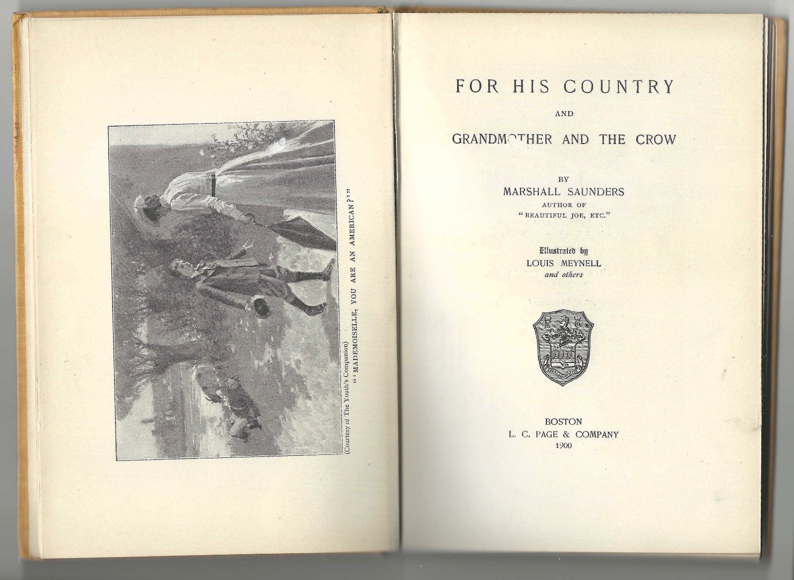 For His Country by Marshall Saunders Antique Cloth Hardcover 1900 L.C. Page & Co