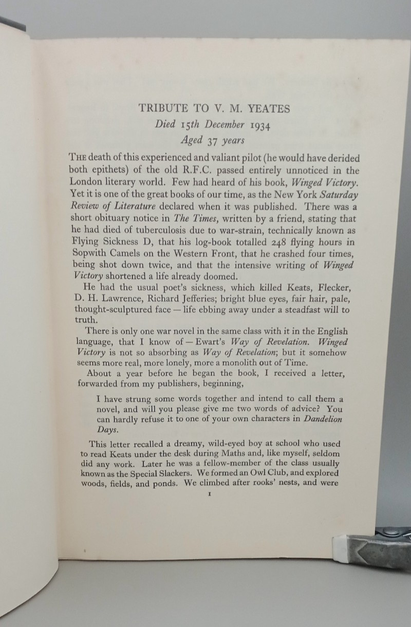Winged Victory V M Yeates First Great World War 1 WW1 Aviation Flying Corps