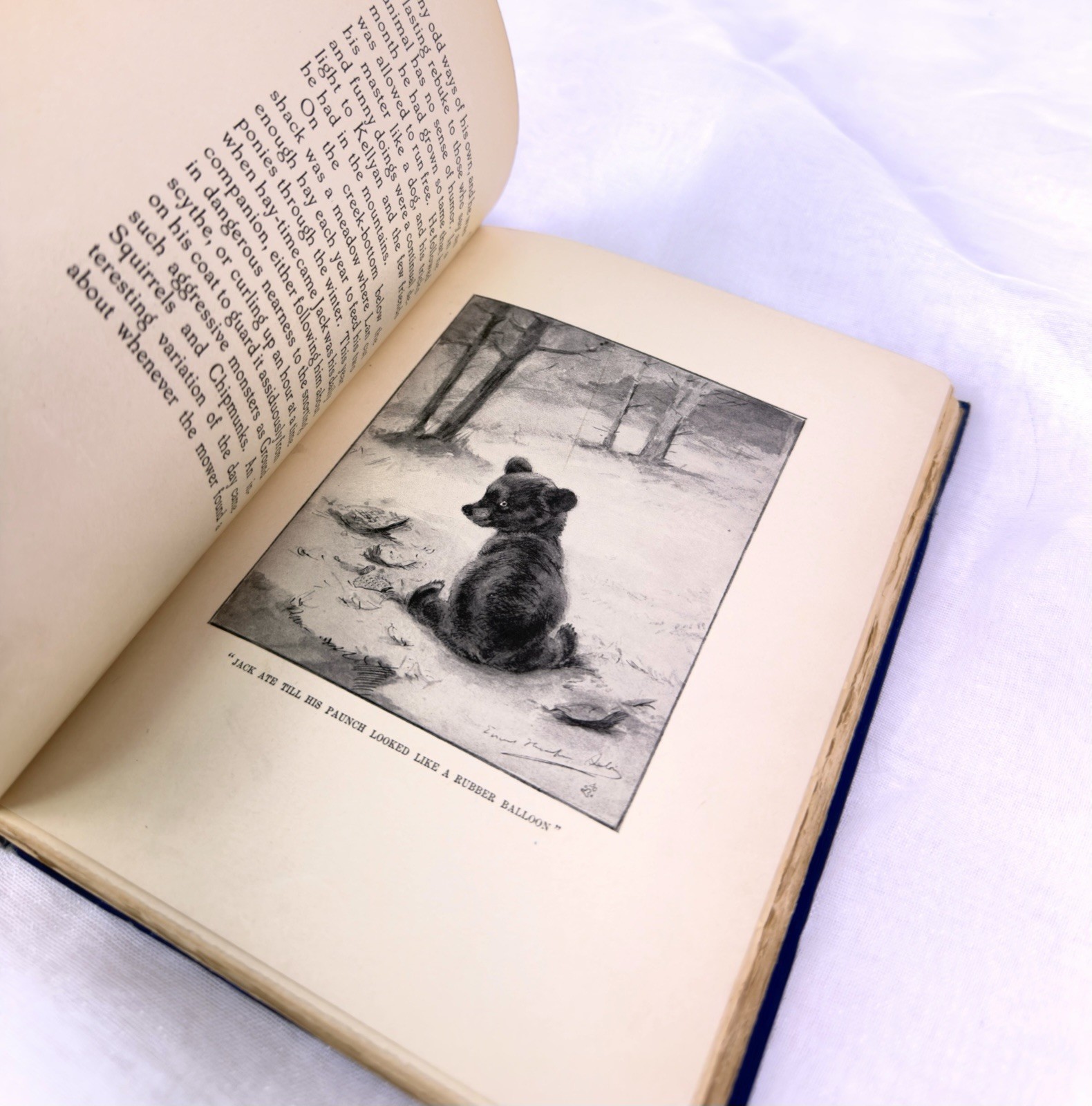 Ernest Thompson Seton Early Scribner 1st Printing 1899-1905 Lot of 4 Illustrates
