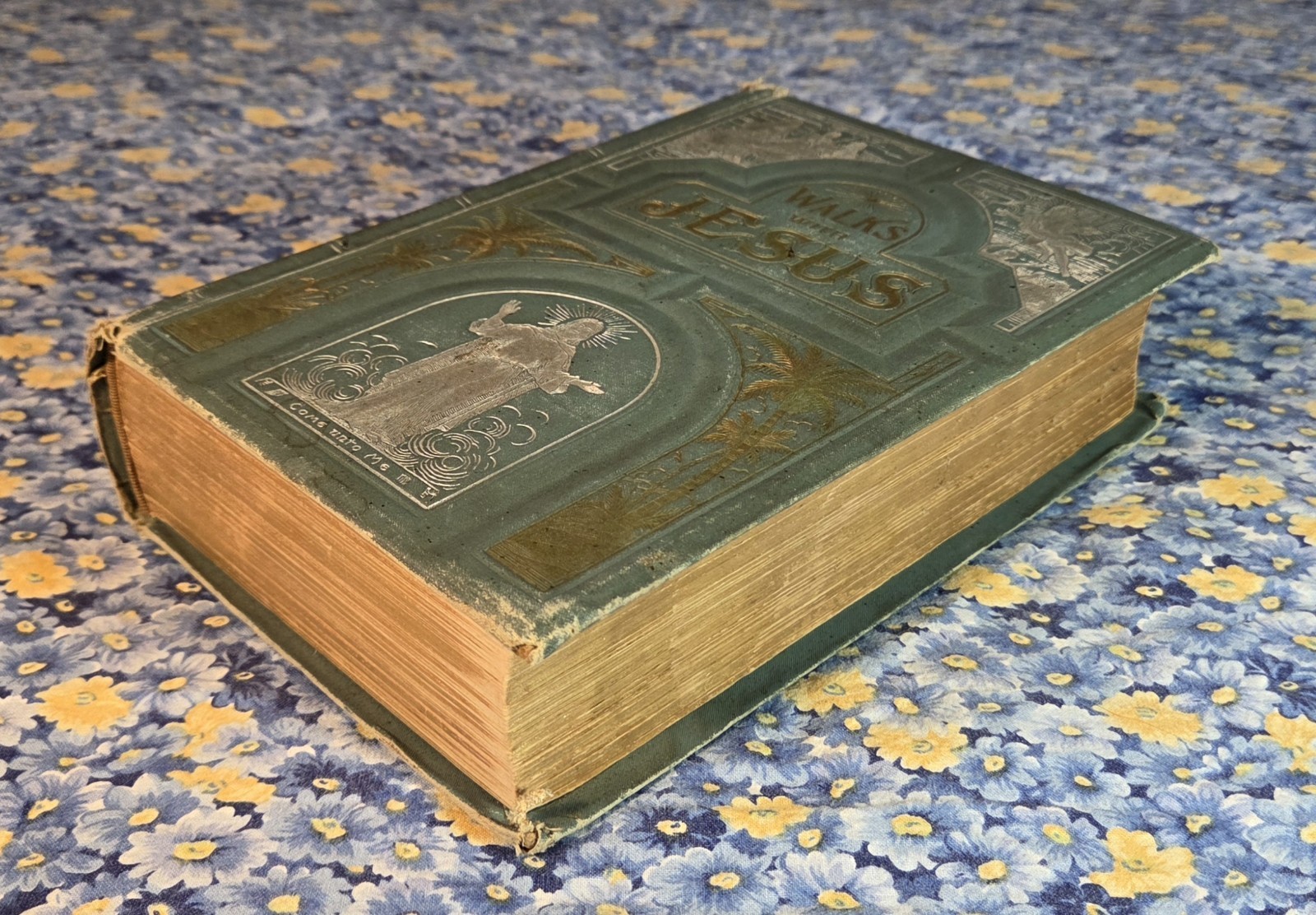 Walks With Jesus Or Days Of The Son Of Man By Daniel March, 1889, HC