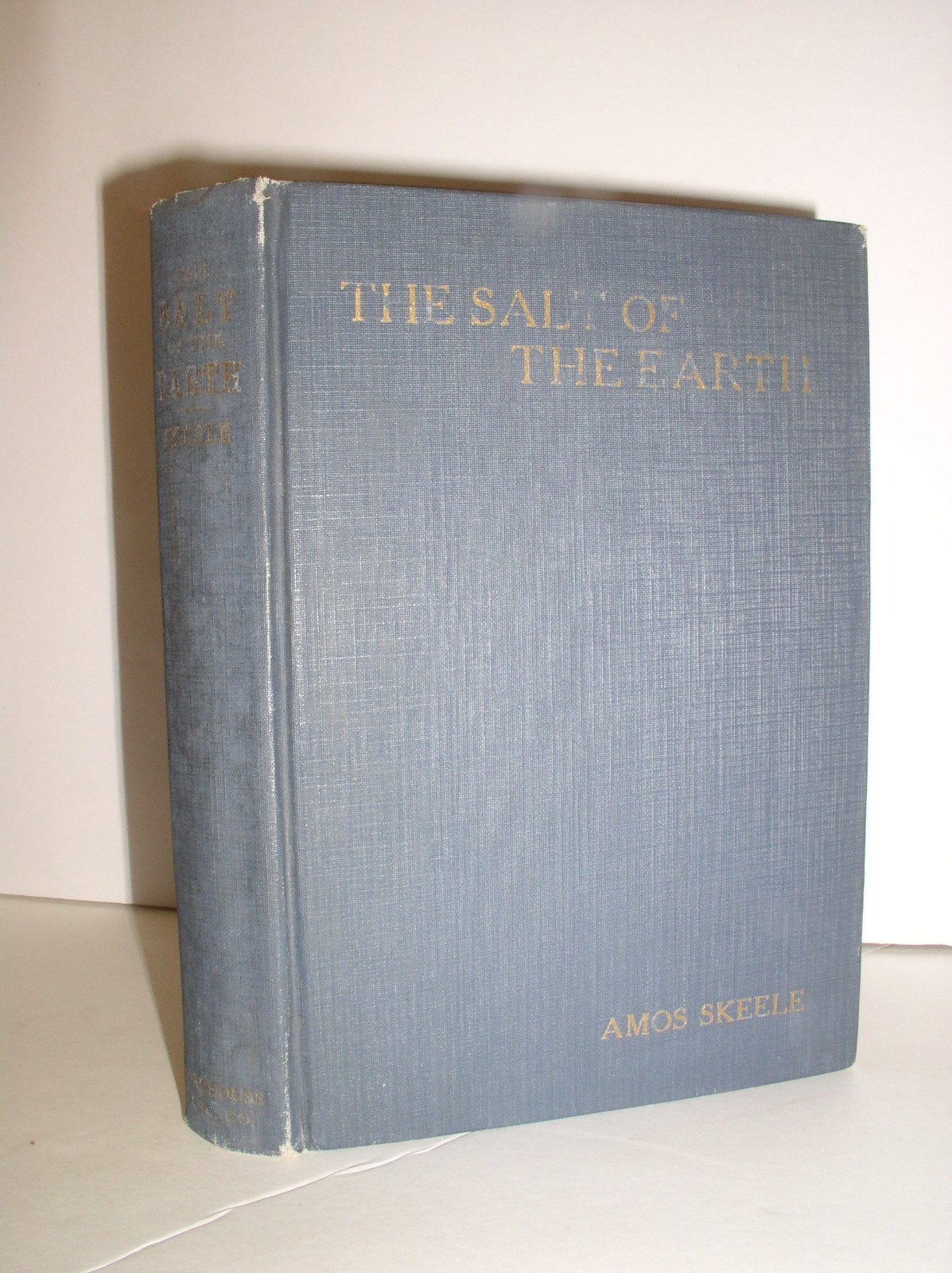 The Salt of the Earth and other Sermons by Amos Skelle (Hardcover,1921)