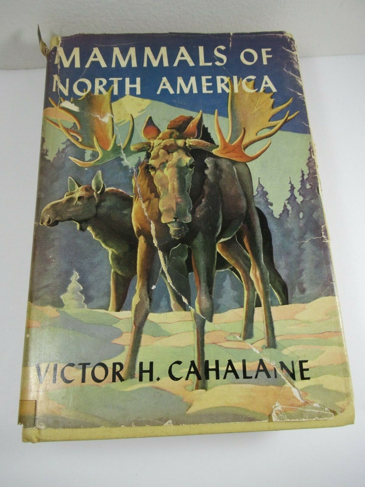 Mammals of North America Victor H. Cahalane with Original Dust Jacket 1964
