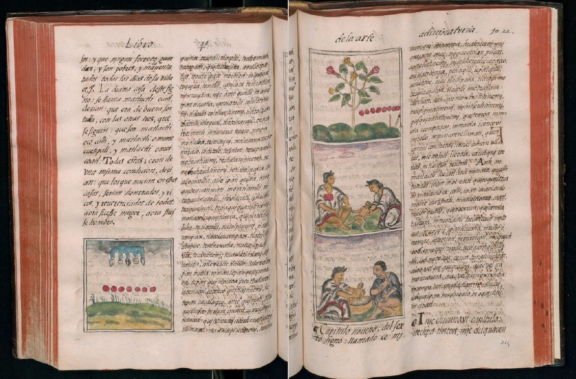 The Florentine Codex – Historia general de las cosas de nueva España 3 Vol DVD