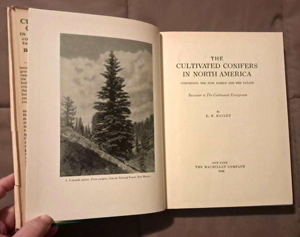 The Cultivated Conifers Comprising the Pine Family & the Taxads, 1948 HC w/dj