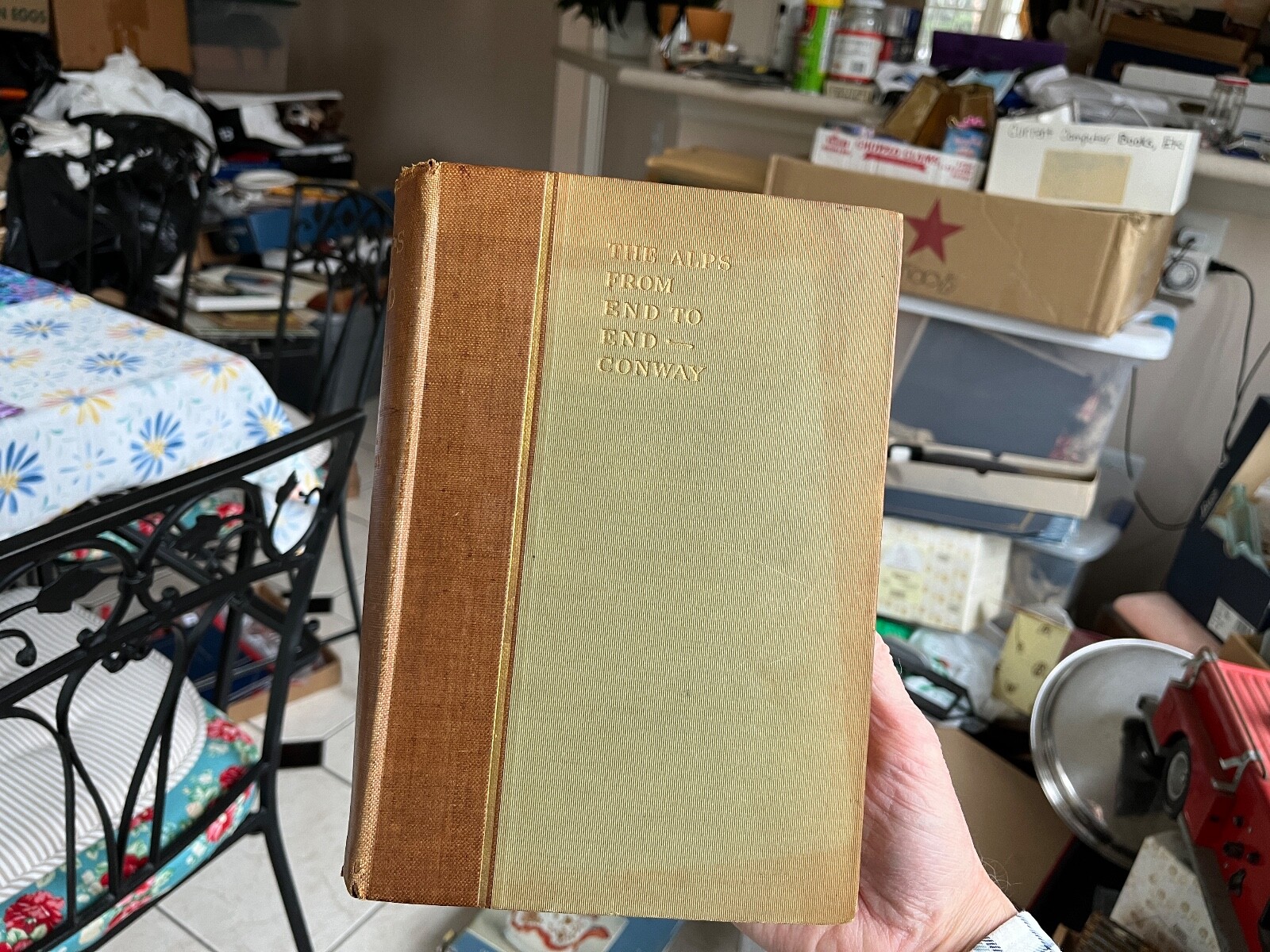 1895 book The Alps From End to End William Martin Conway hiking mountain climb