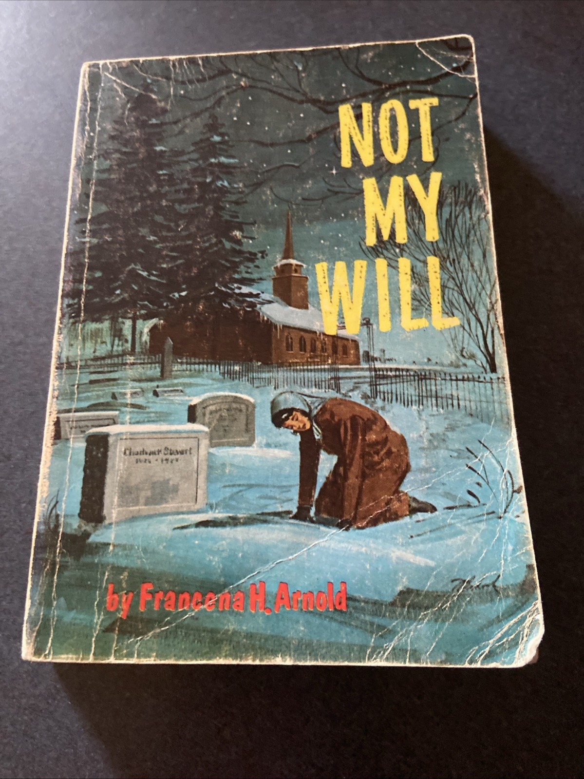 Not My Will by Francena H. Arnold Vintage Paperback Moody Press Fiction