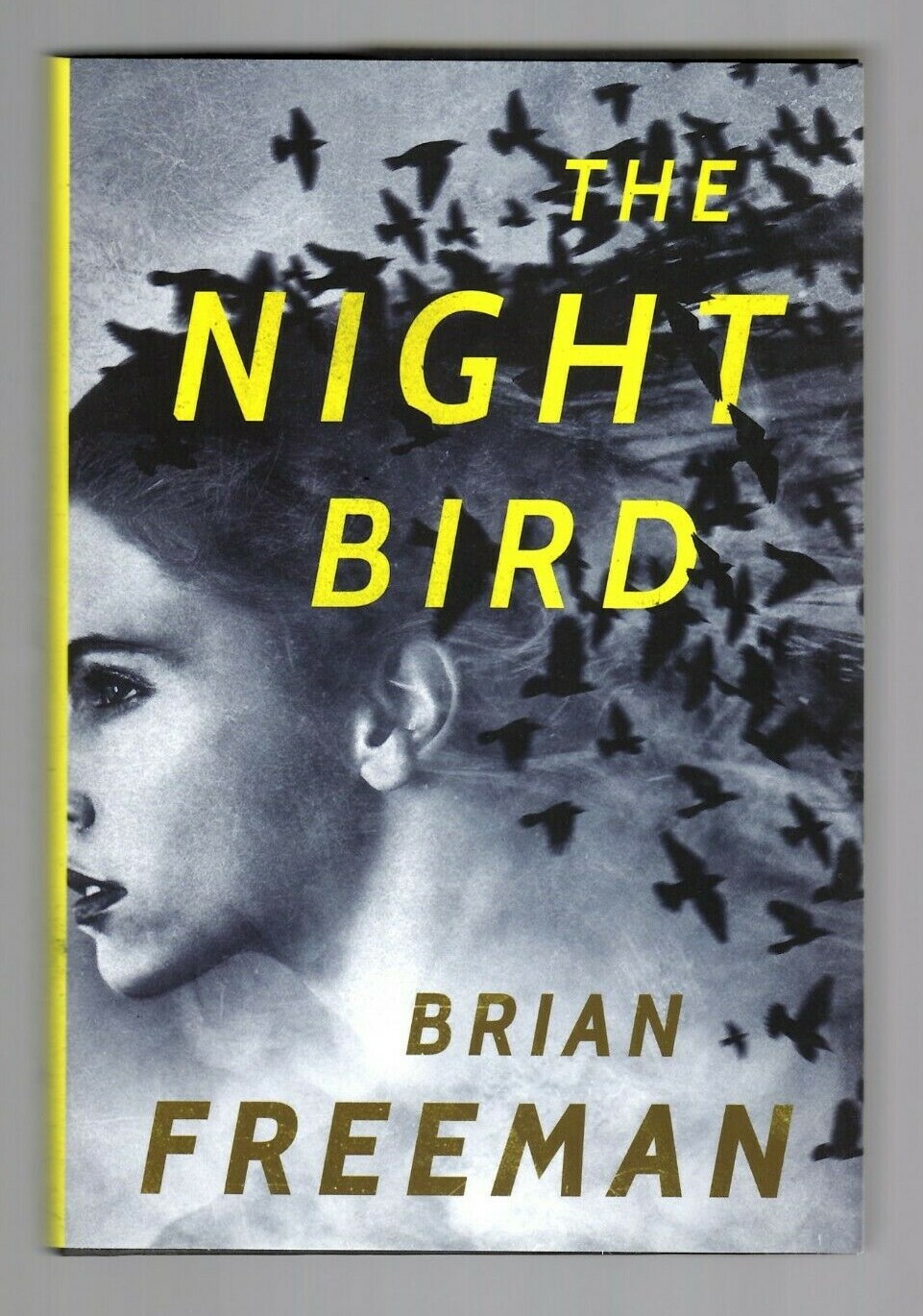 Brian Freeman THE NIGHT BIRD 1st printing HC SIGNED w greeting Easton #1 New!