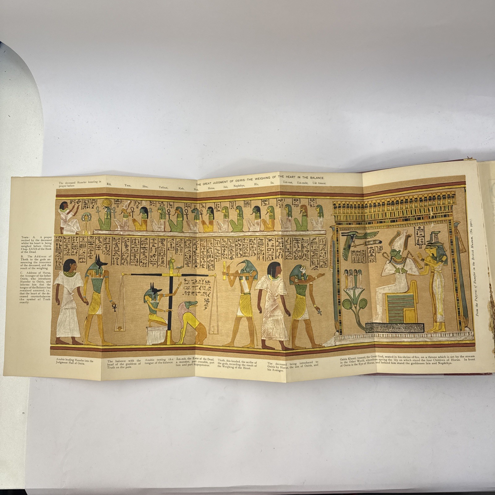 1911 Osiris Egyptian Resurrection E.A. Wallis Budge 2 Vol Occult Set w/ Fold Out