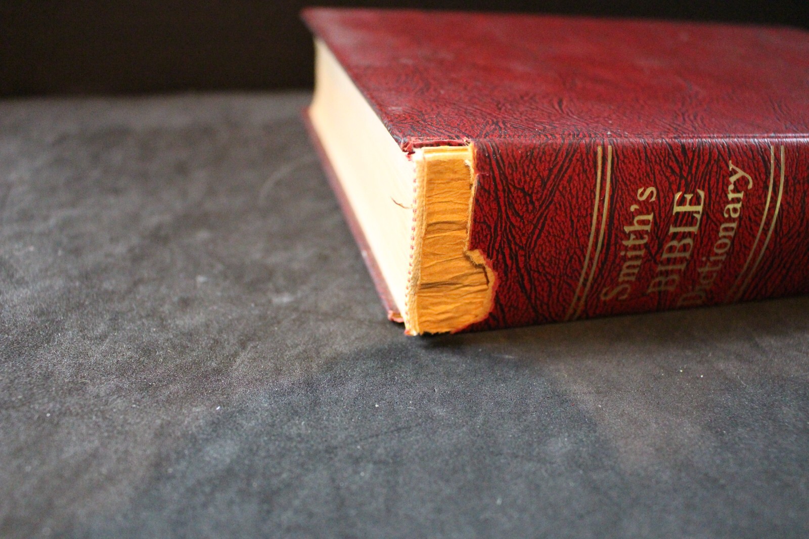 Smith’s Bible Dictionary: Revised Edition, by William Smith. A.J.Holman Company