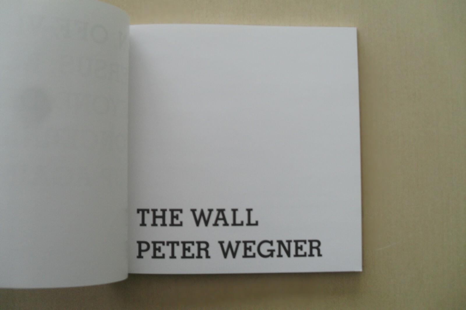 The Wall by Peter Wegner – Exhibit Catalog – CU Art Museum, Boulder, 2010 – Fine