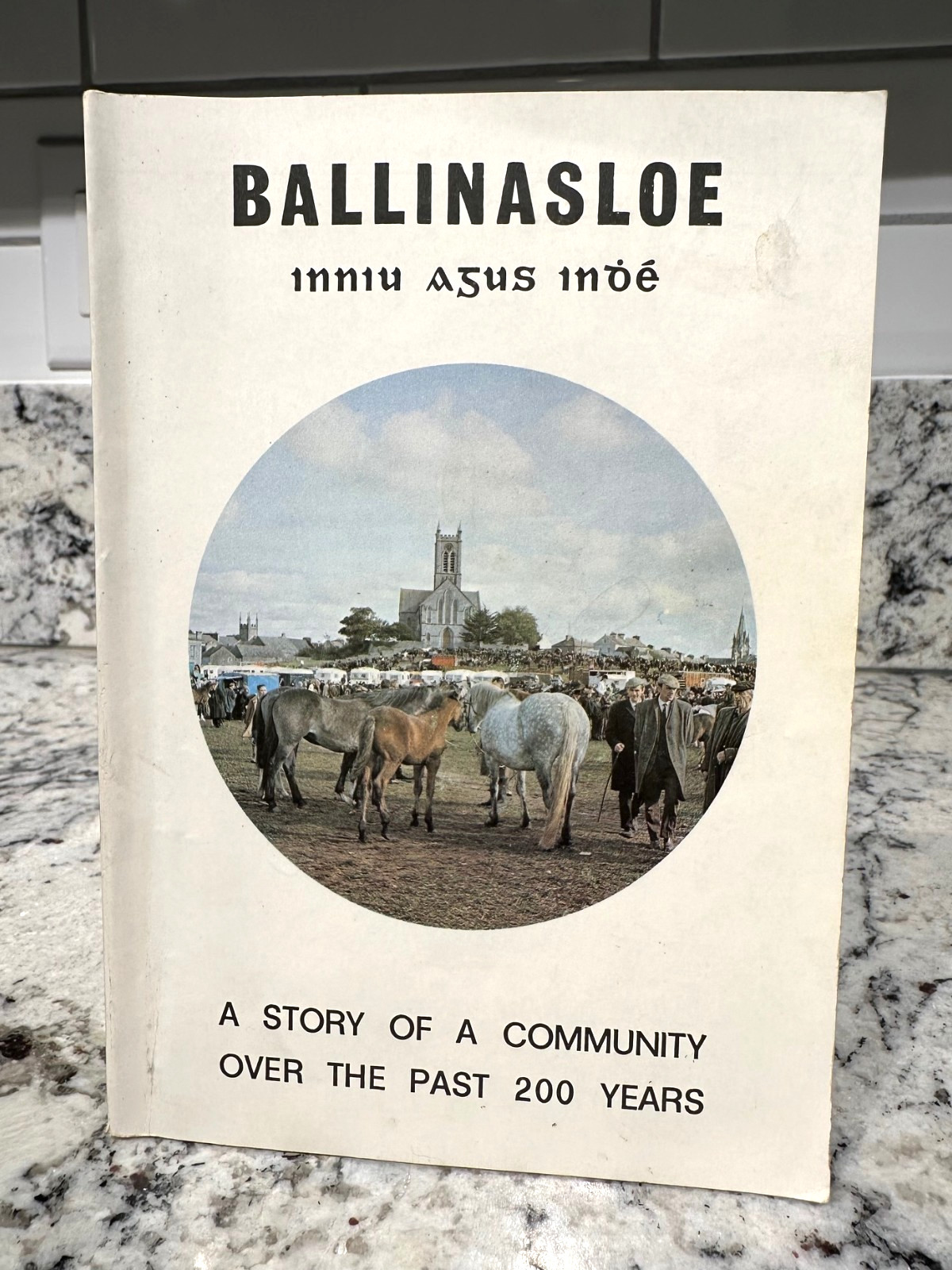 BALLINASLOE Ireland Story Of A Community Over The Past 200 Years Soft Cover Book